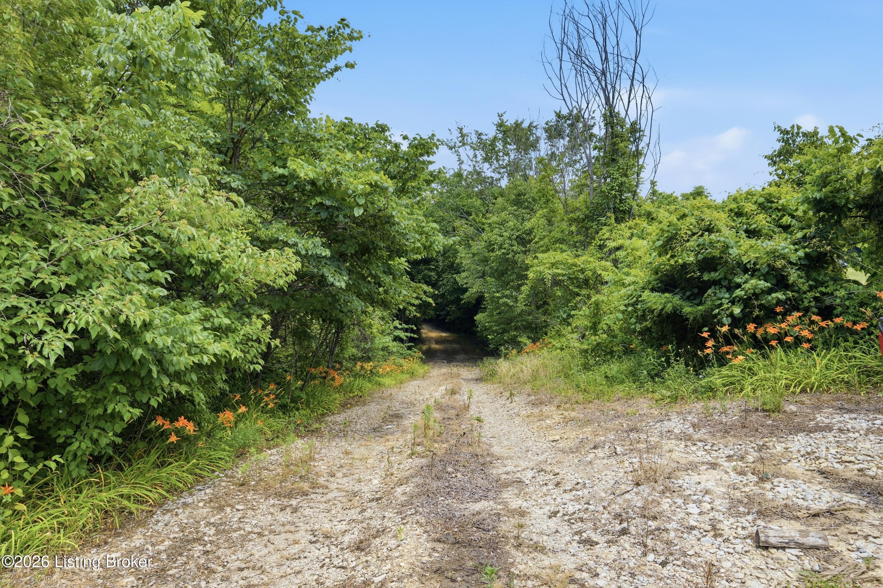 1411 Barebone Rd Property Photo 15