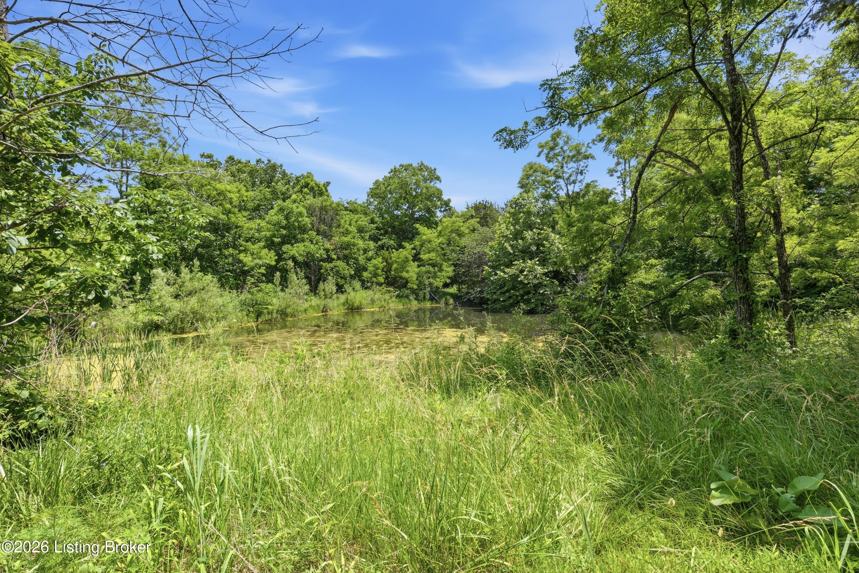 1411 Barebone Rd Property Photo 17