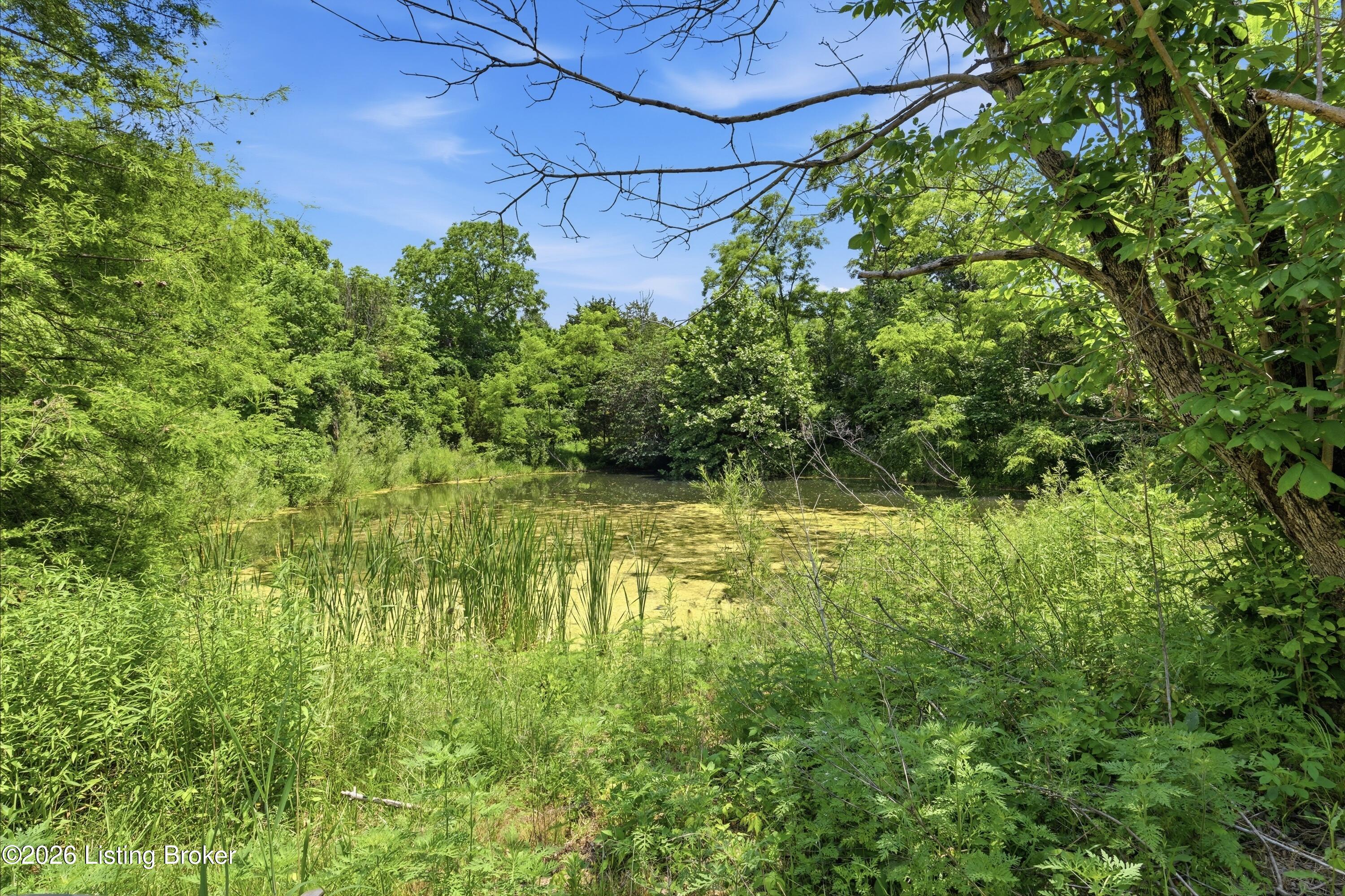1411 Barebone Rd Property Photo 18