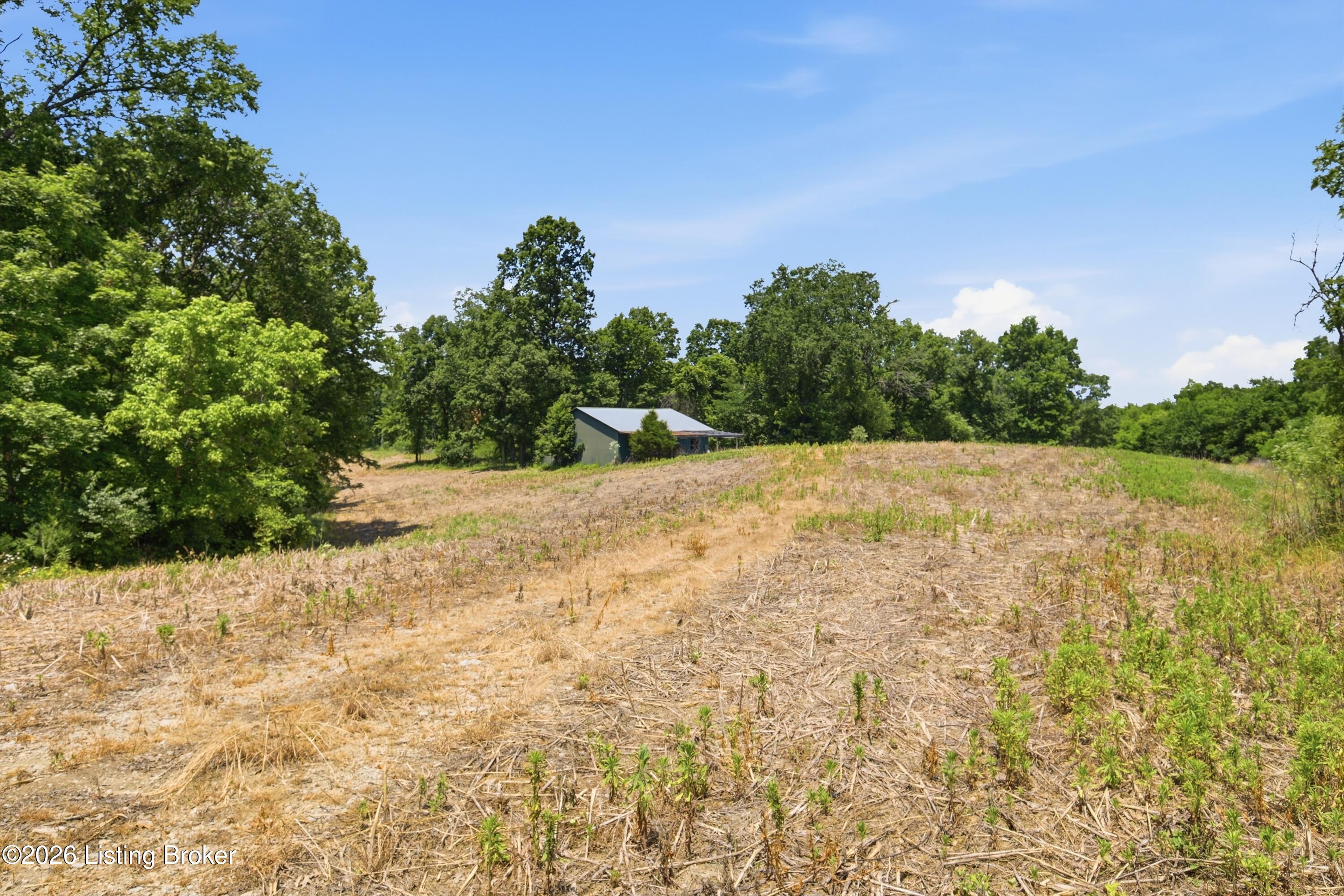 1411 Barebone Rd Property Photo 19