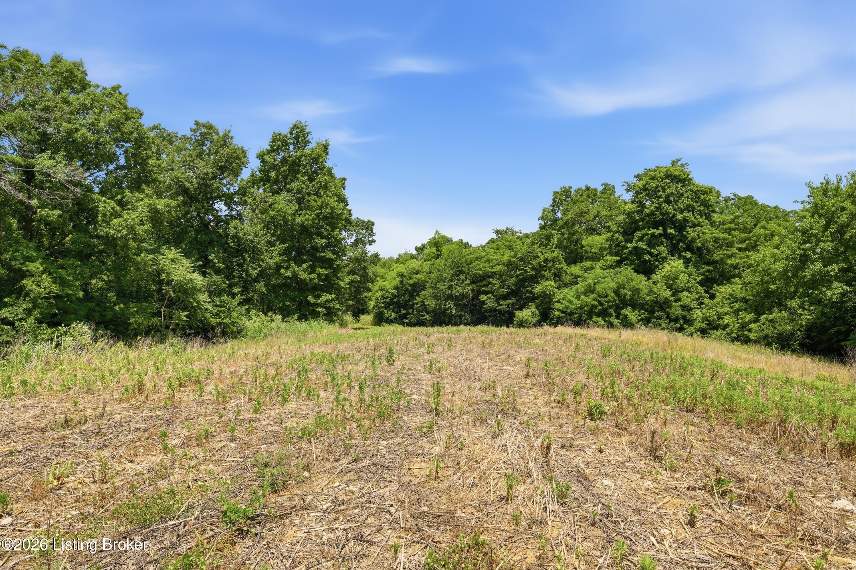 1411 Barebone Rd Property Photo 20