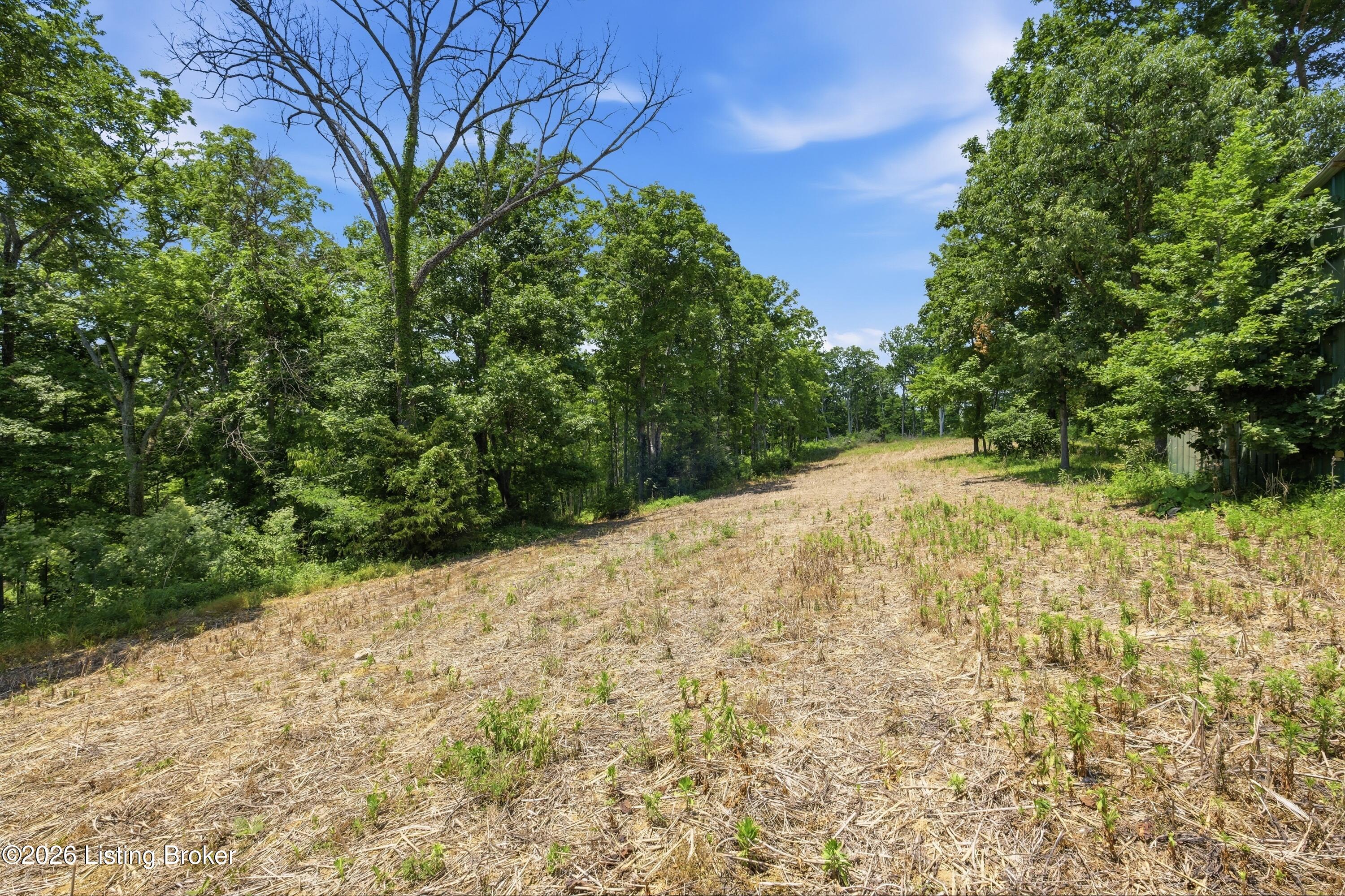 1411 Barebone Rd Property Photo 22