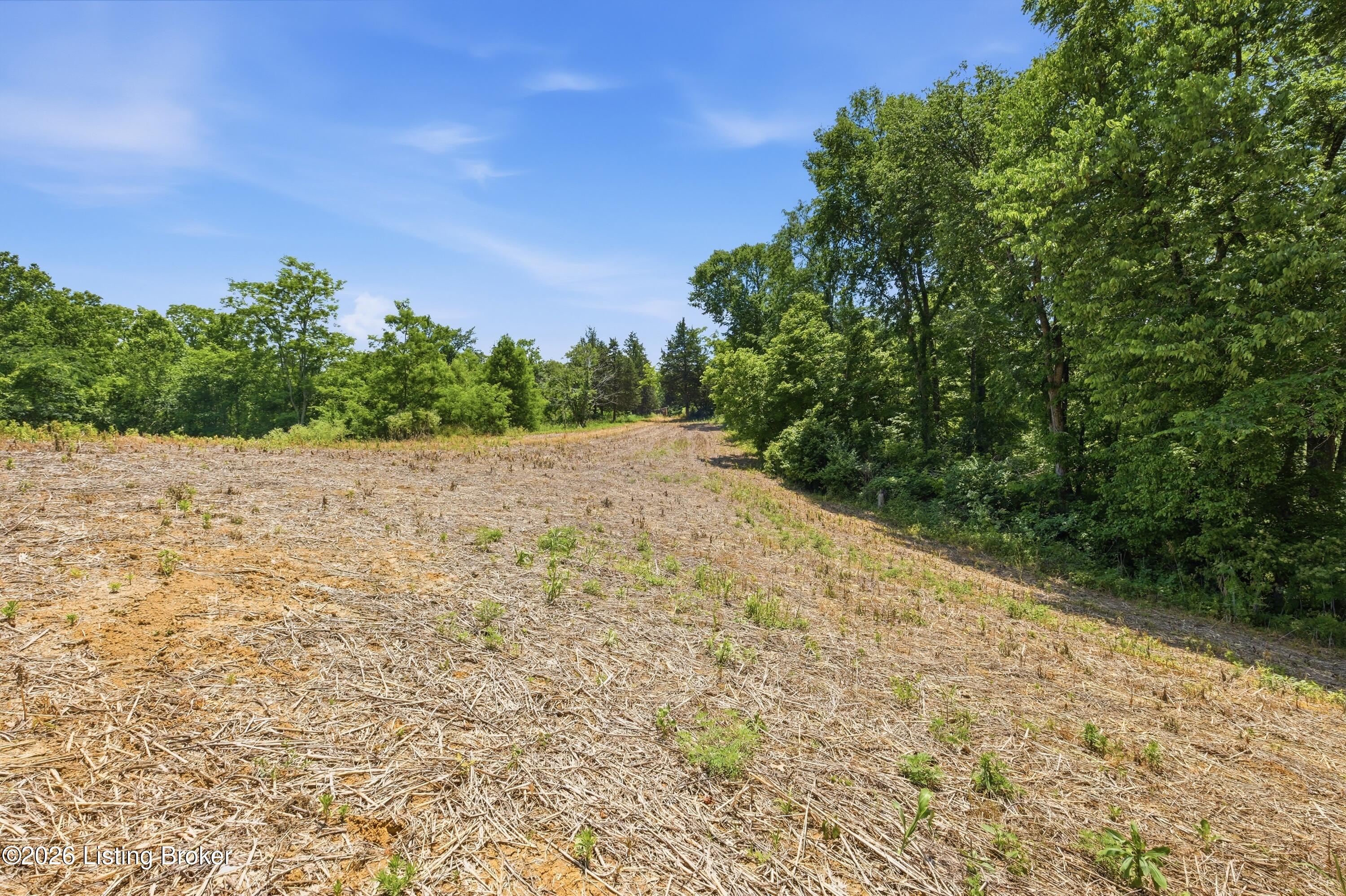 1411 Barebone Rd Property Photo 23