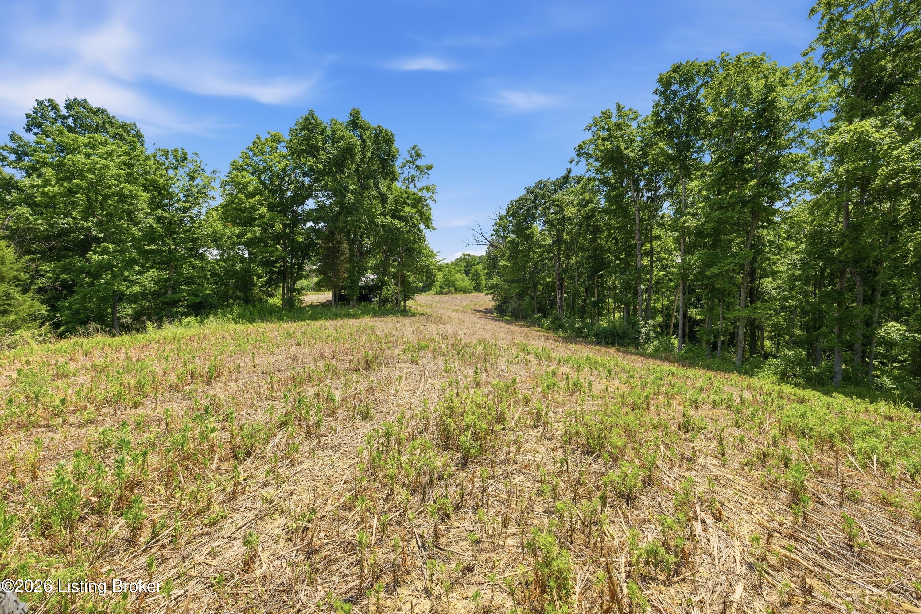 1411 Barebone Rd Property Photo 24