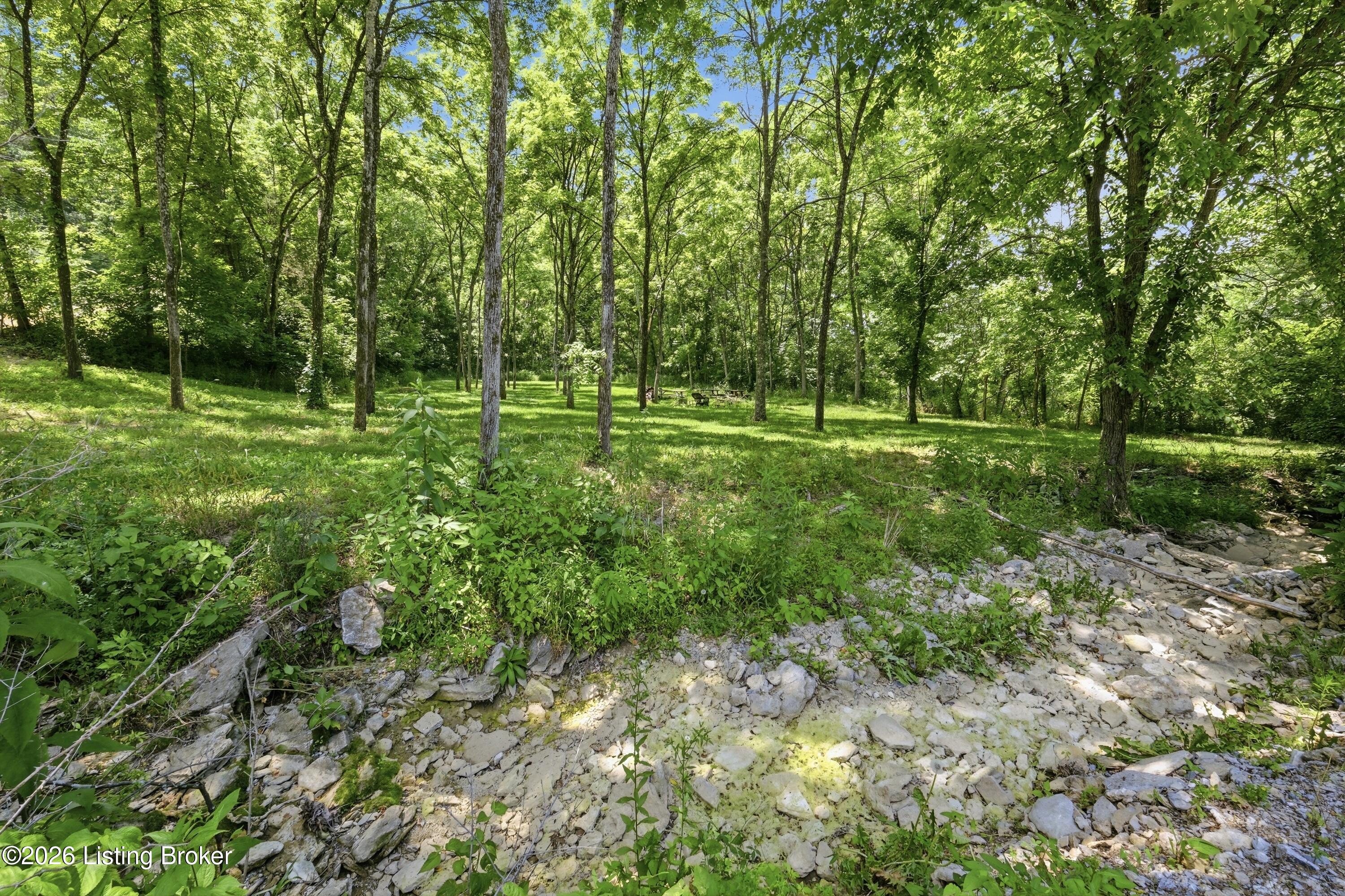1411 Barebone Rd Property Photo 31