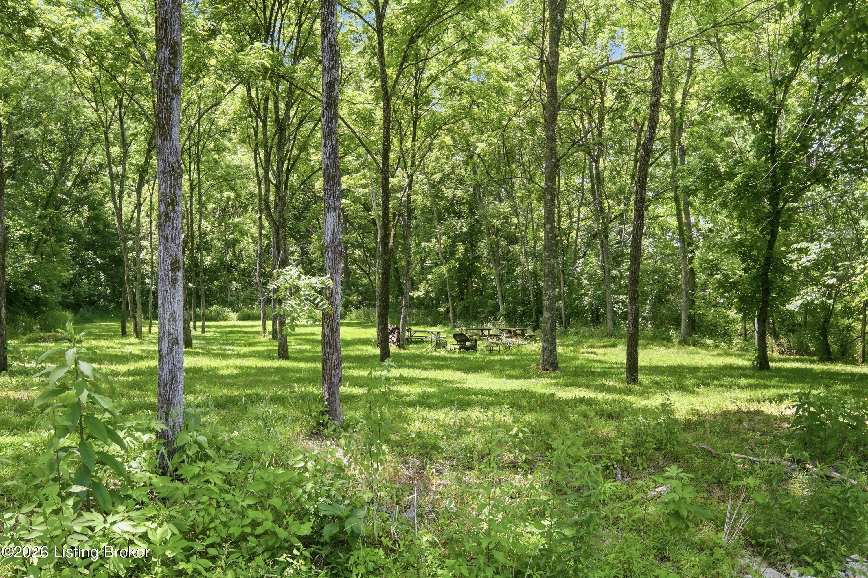 1411 Barebone Rd Property Photo 32