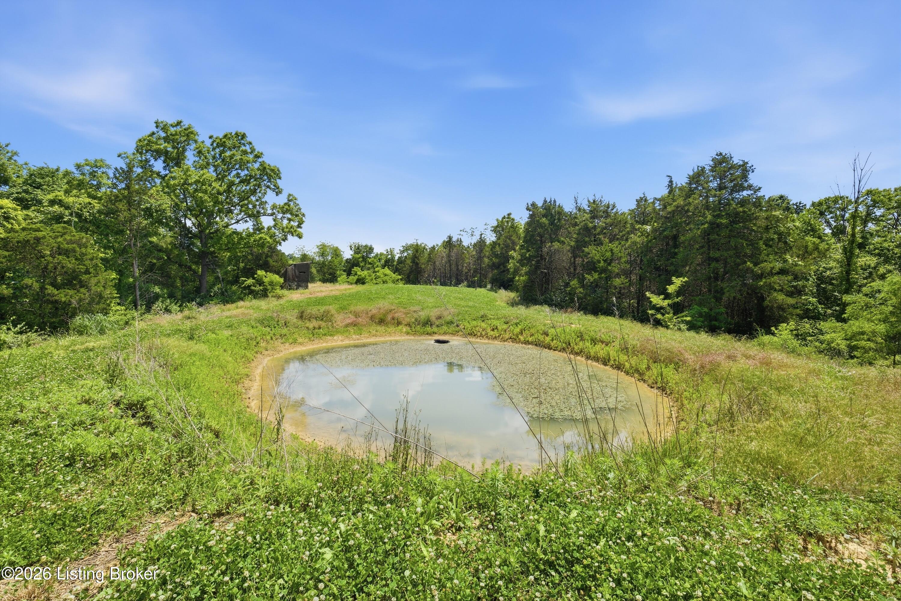 1411 Barebone Rd Property Photo 35