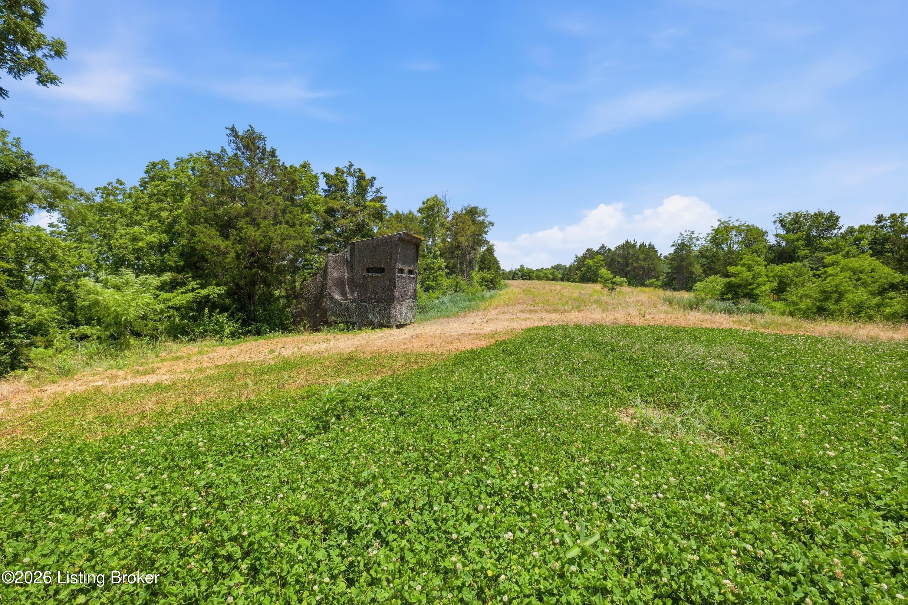 1411 Barebone Rd Property Photo 37