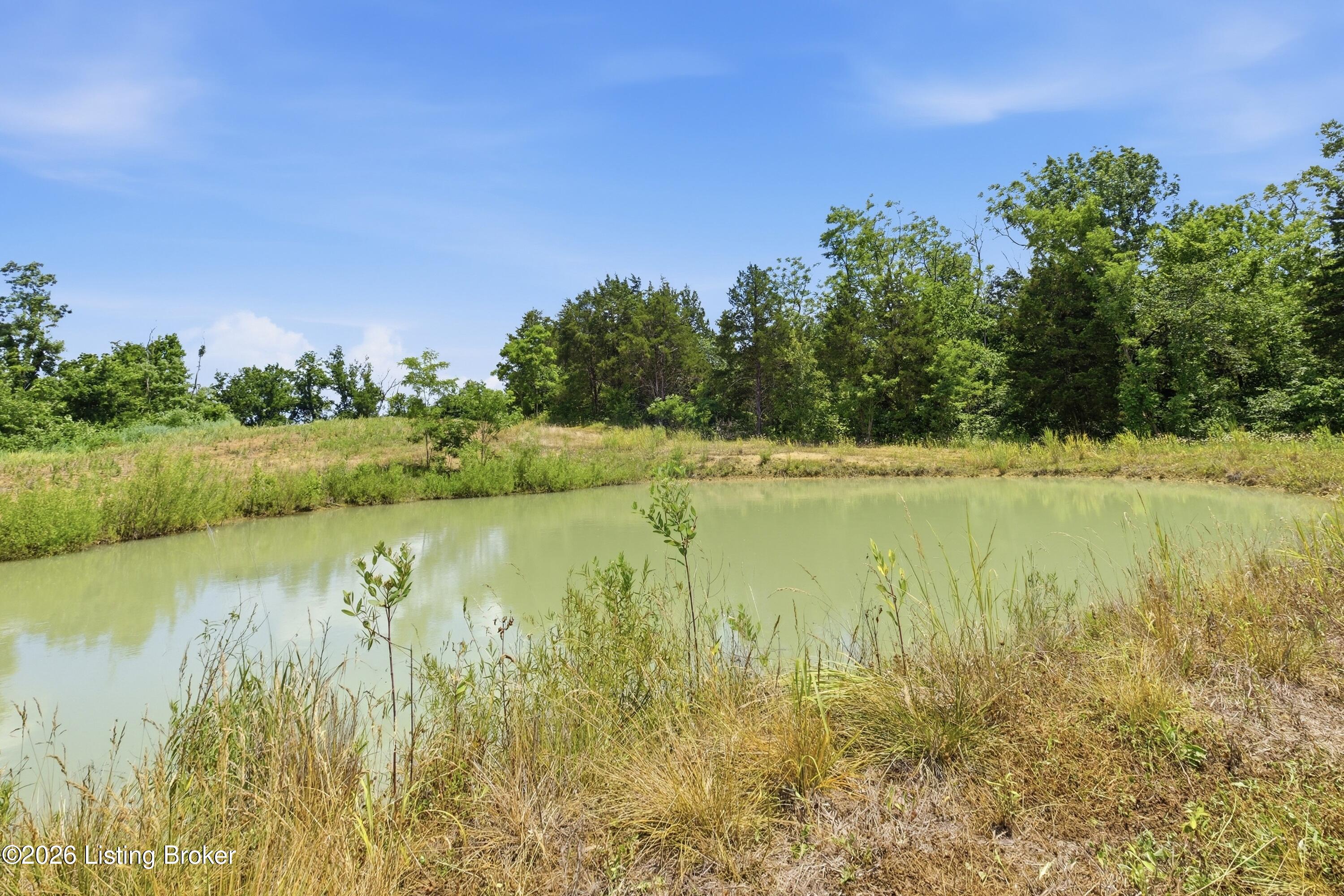 1411 Barebone Rd Property Photo 39