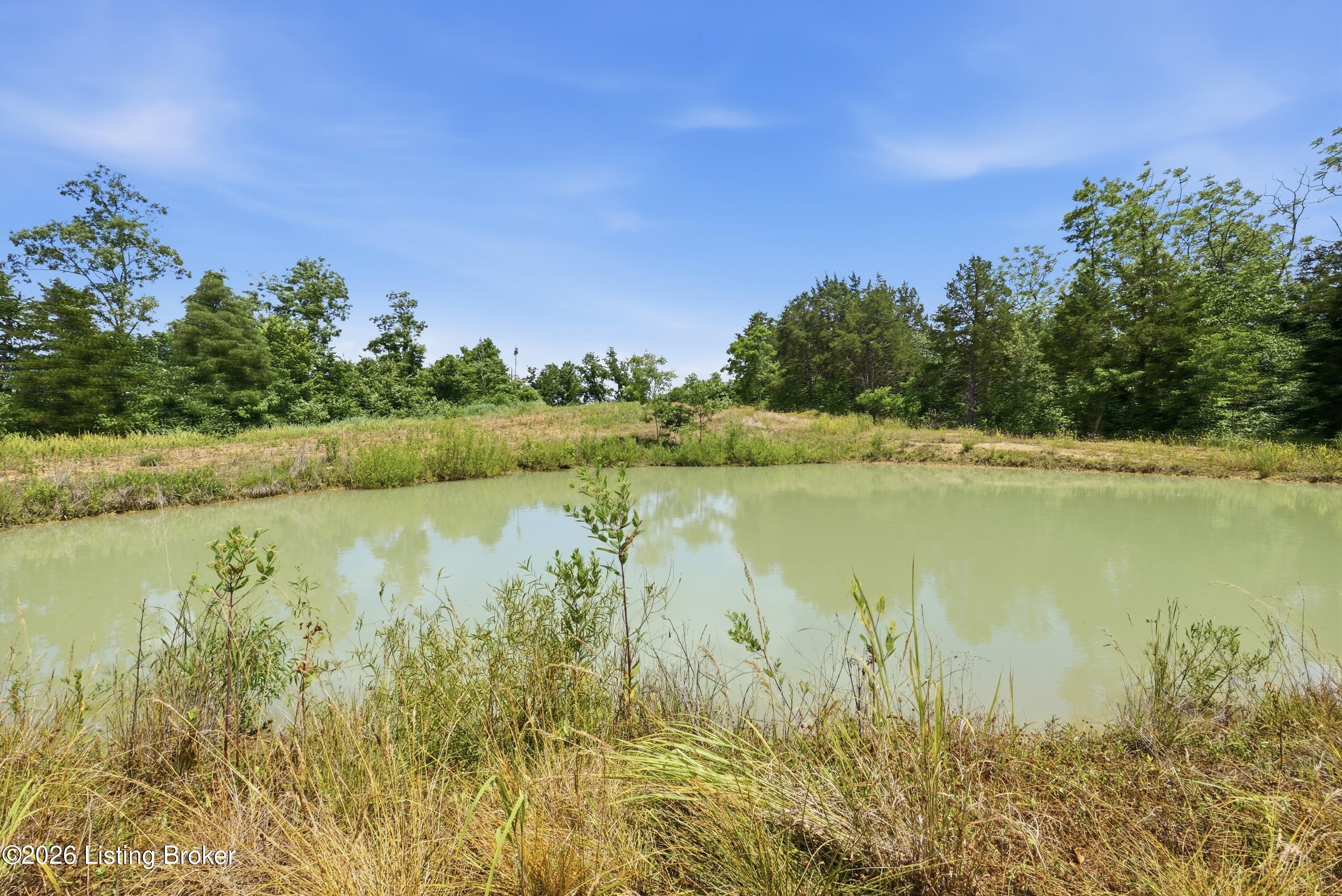 1411 Barebone Rd Property Photo 40