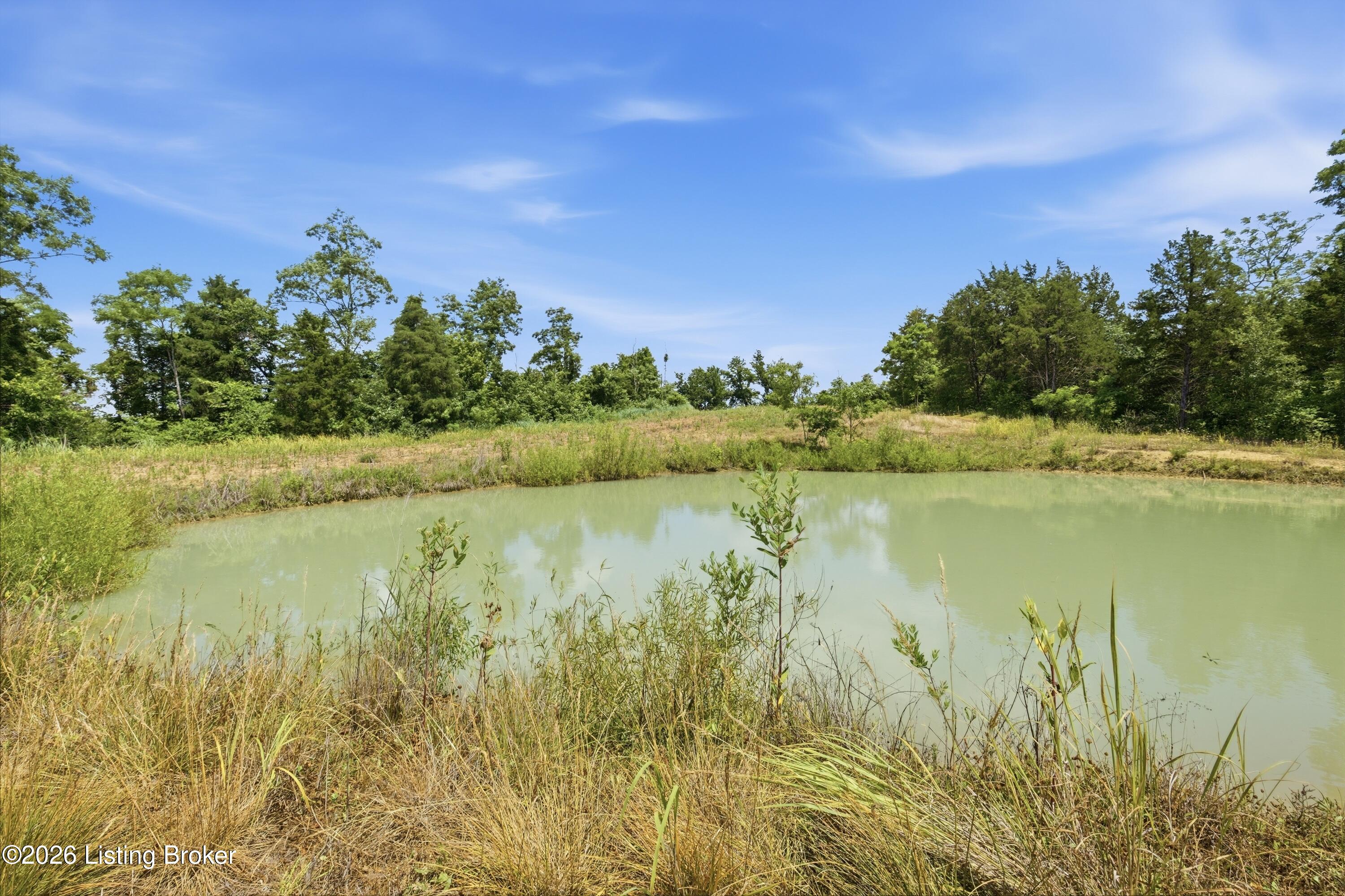 1411 Barebone Rd Property Photo 41