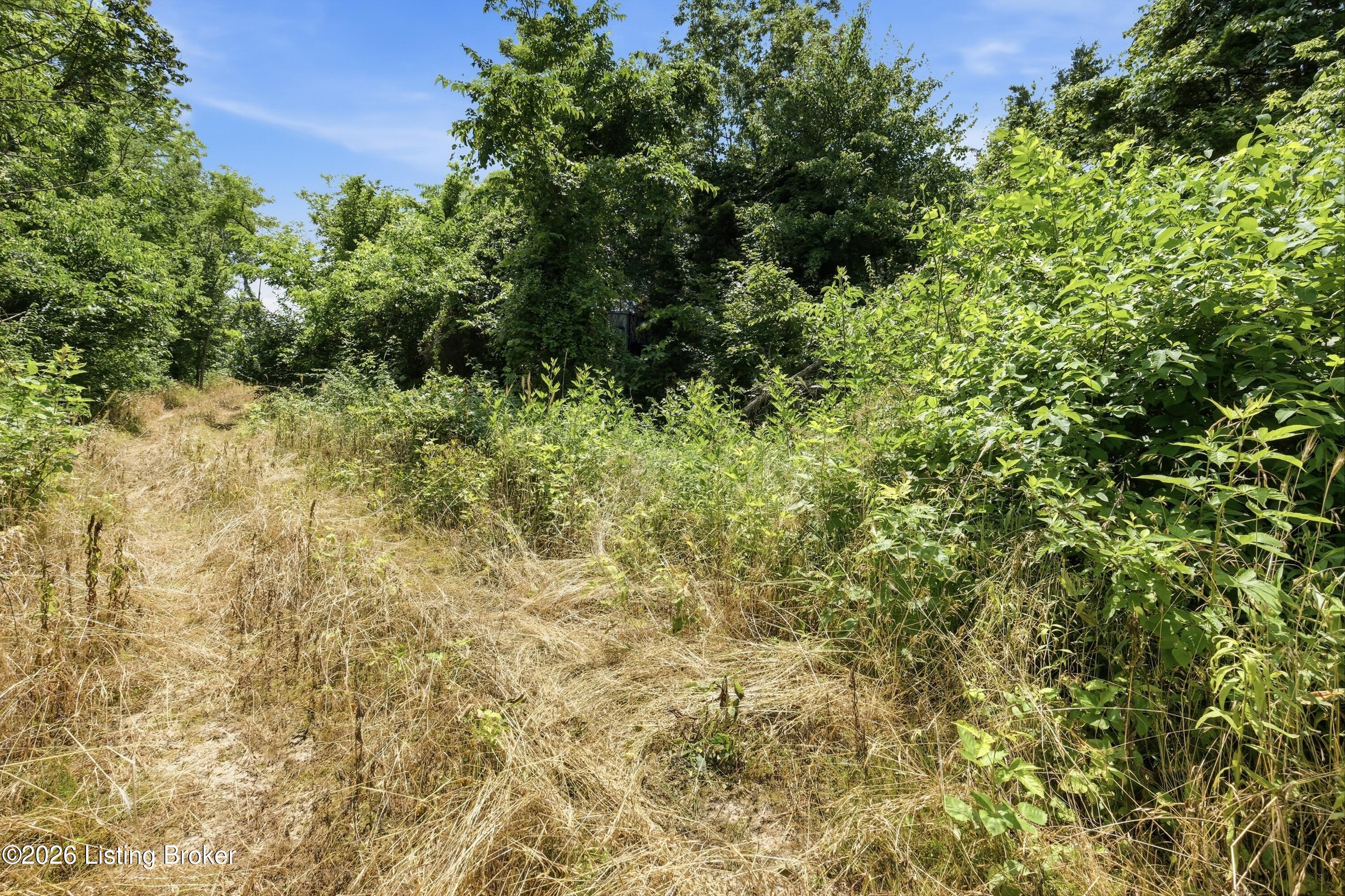 1411 Barebone Rd Property Photo 42