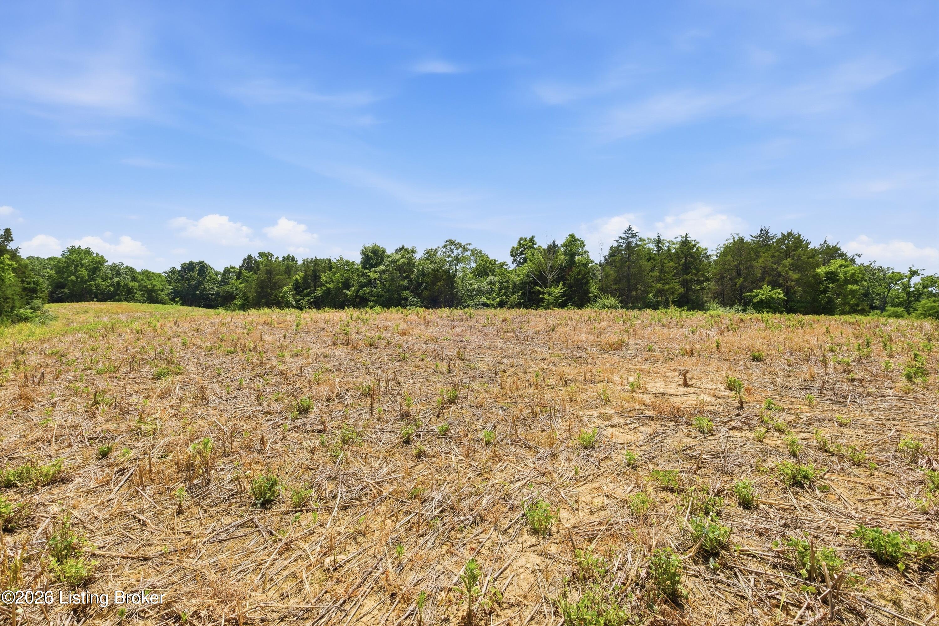 1411 Barebone Rd Property Photo 43