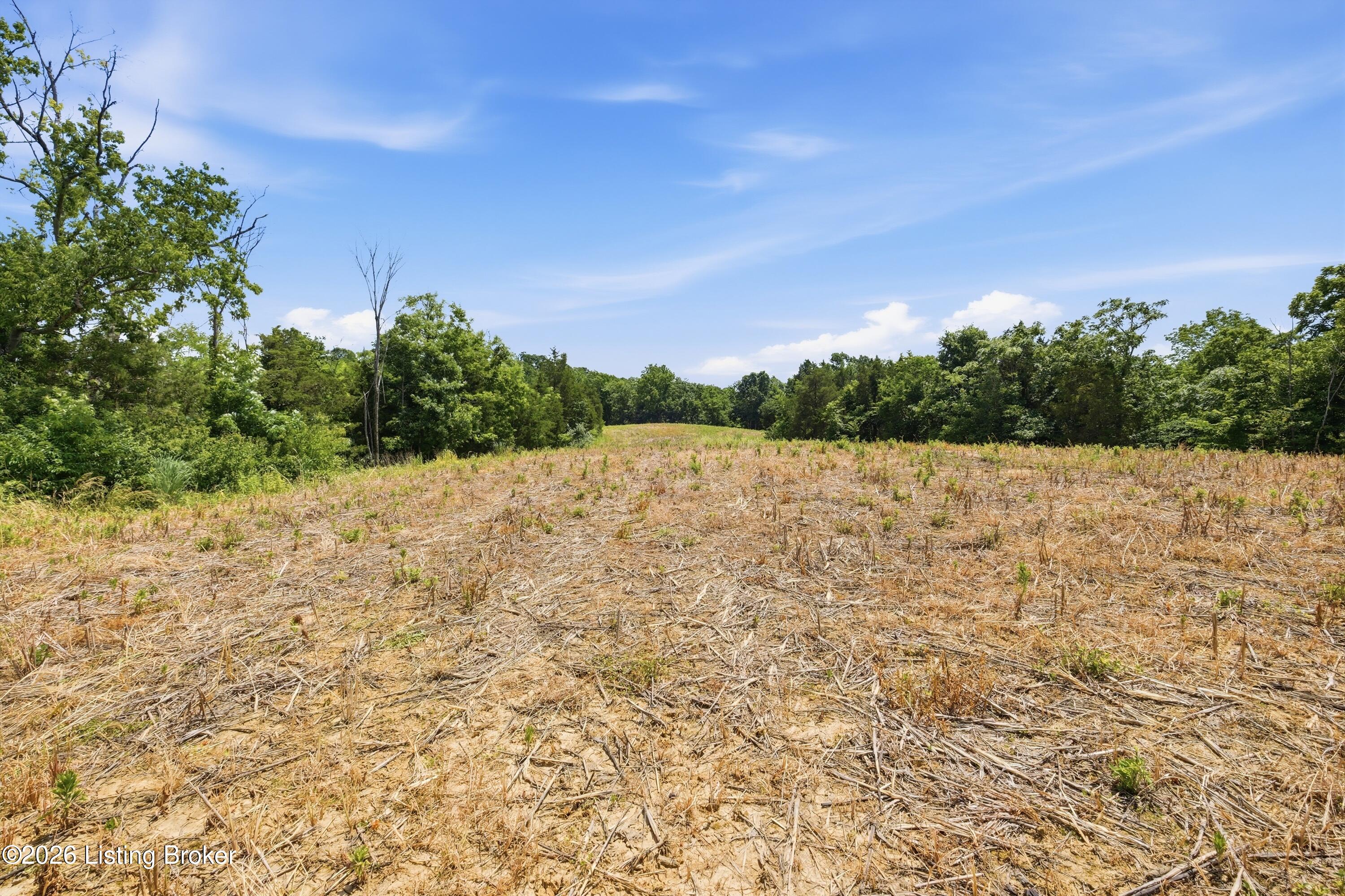 1411 Barebone Rd Property Photo 44