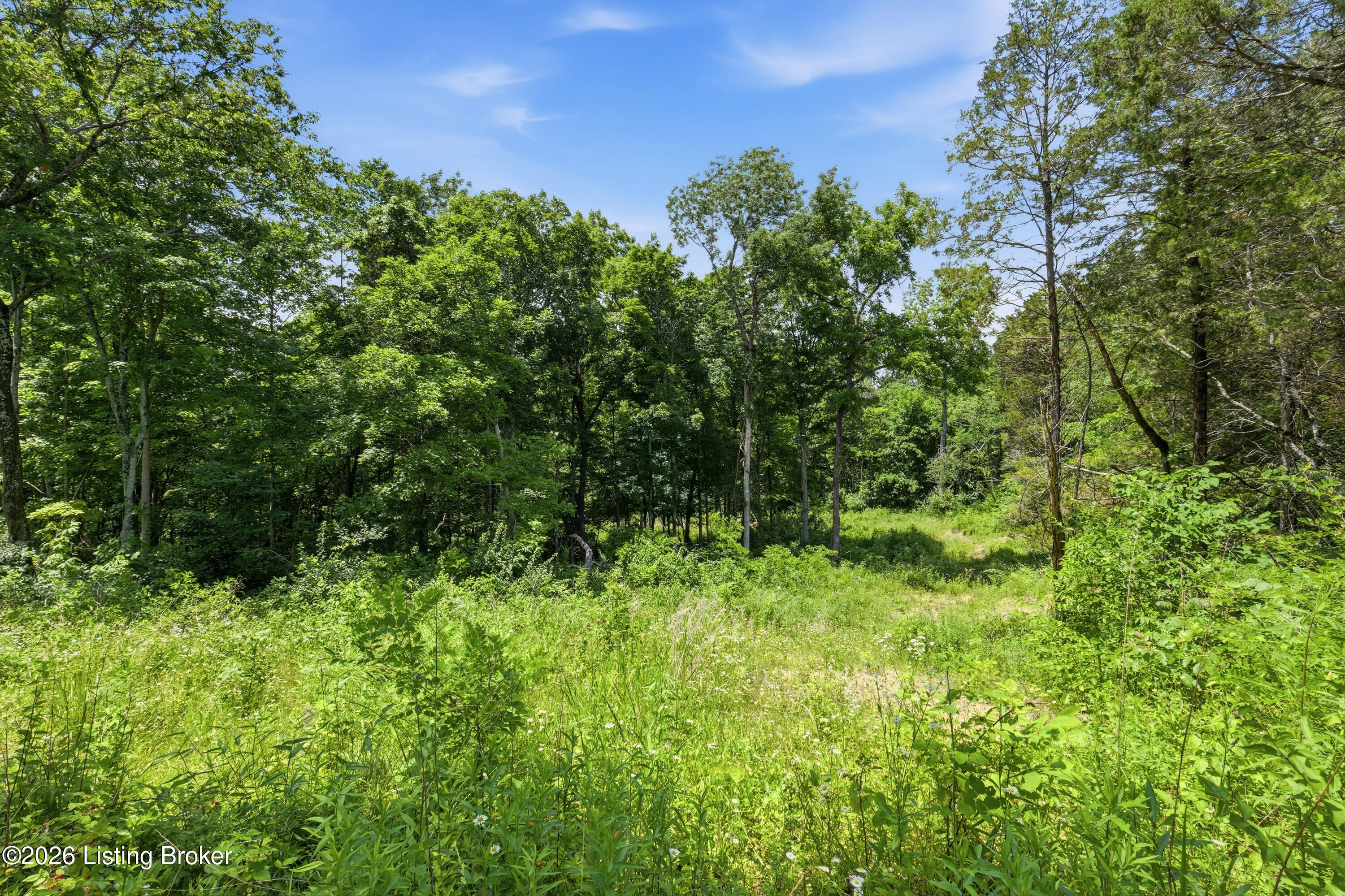 1411 Barebone Rd Property Photo 46