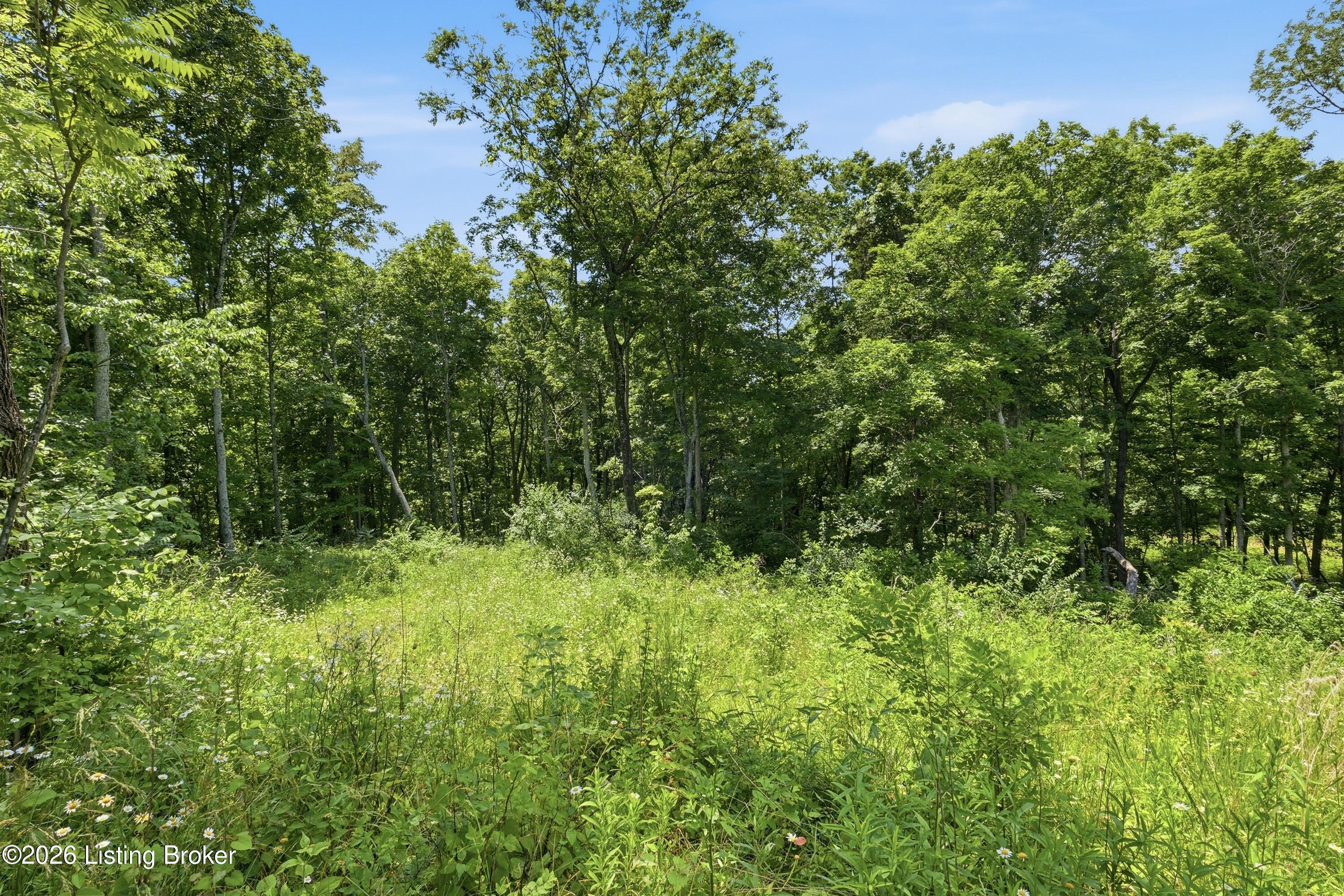 1411 Barebone Rd Property Photo 47