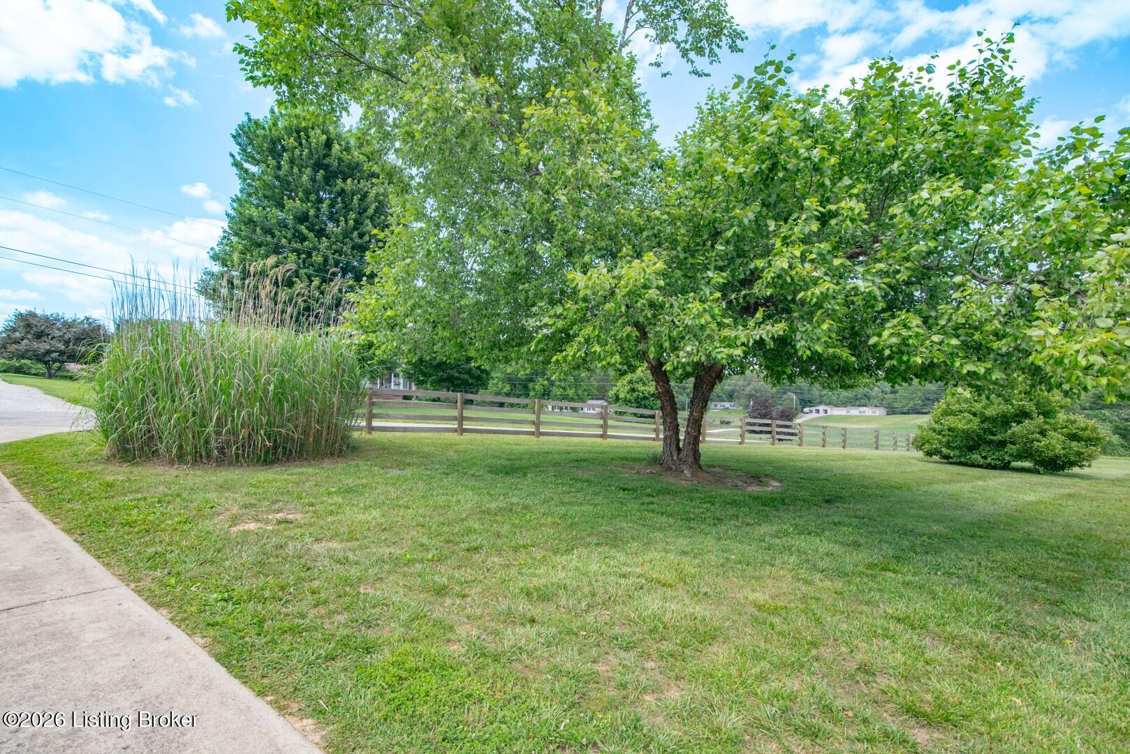 65 Arvin Ave Property Photo 34