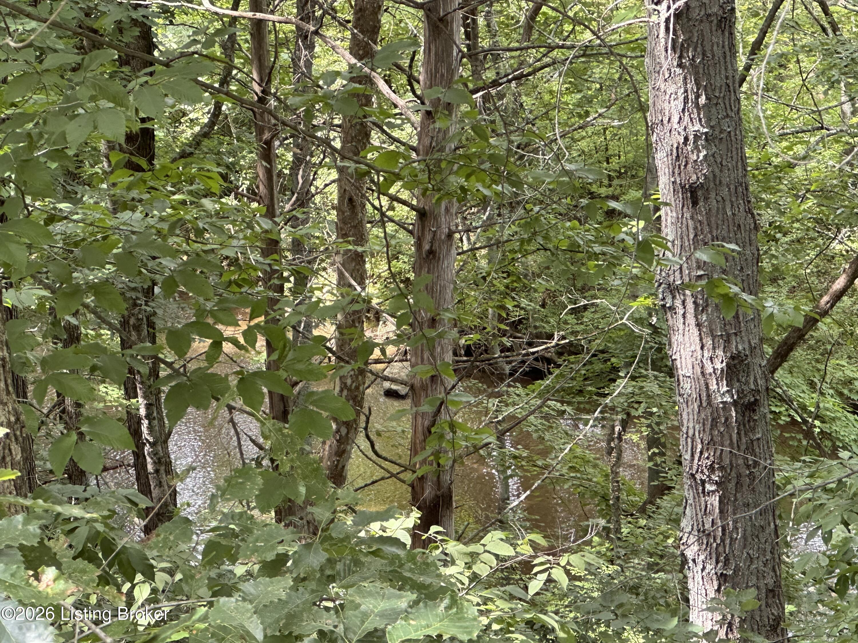 14713 Forest Creek Way Property Photo 67