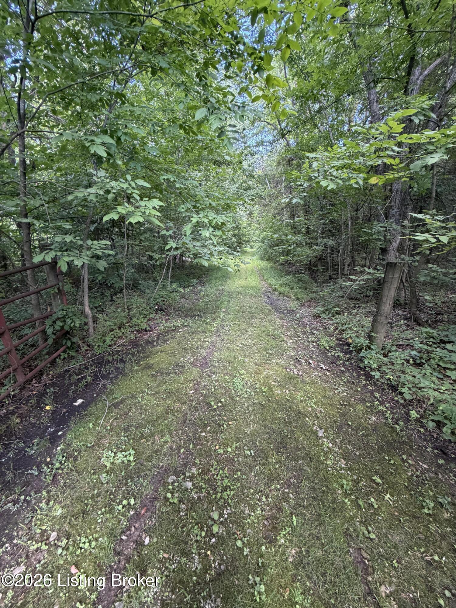 Tr 10 Lower Colesburg Rd Property Photo 3