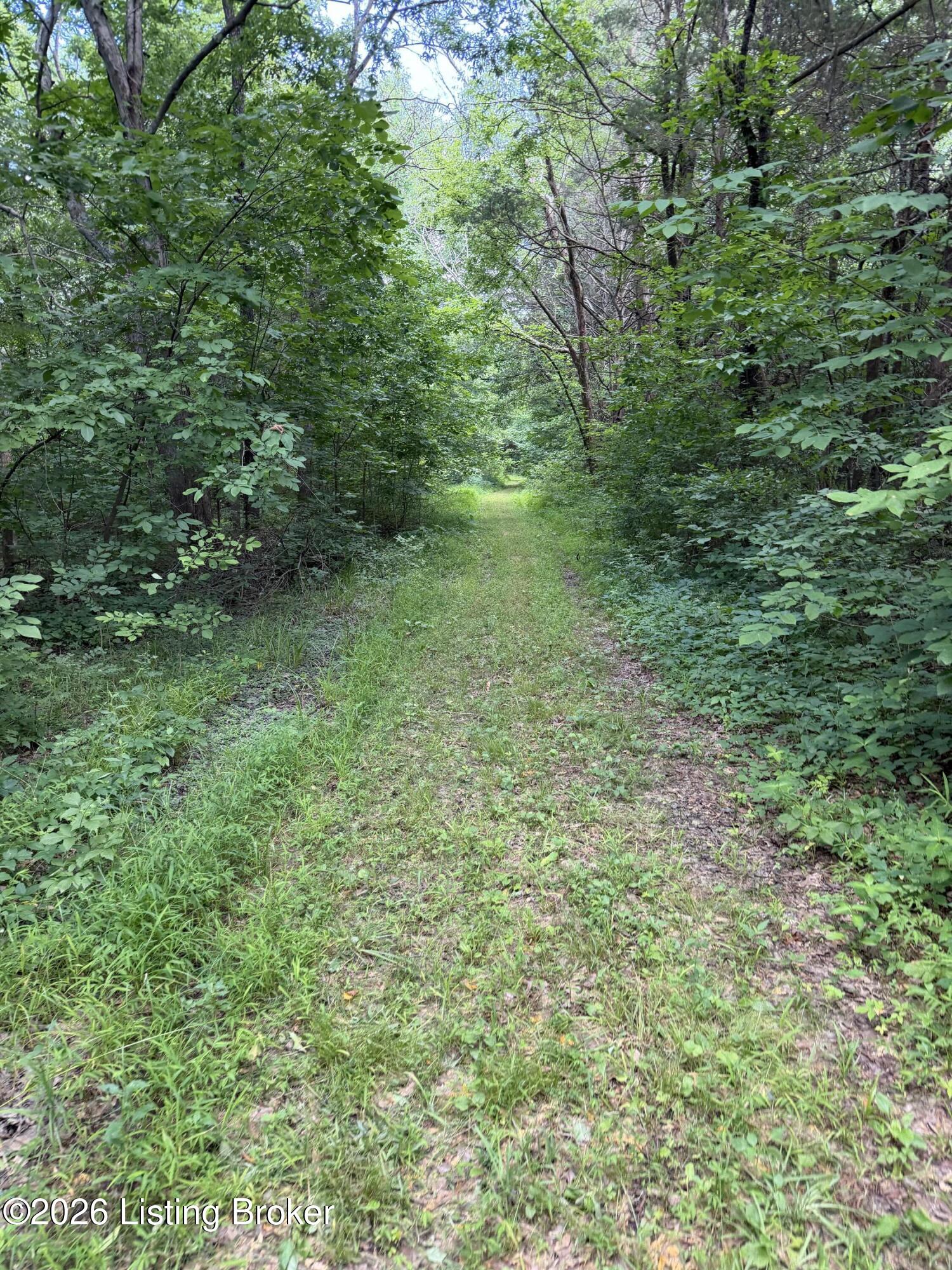 Tr 10 Lower Colesburg Rd Property Photo 4