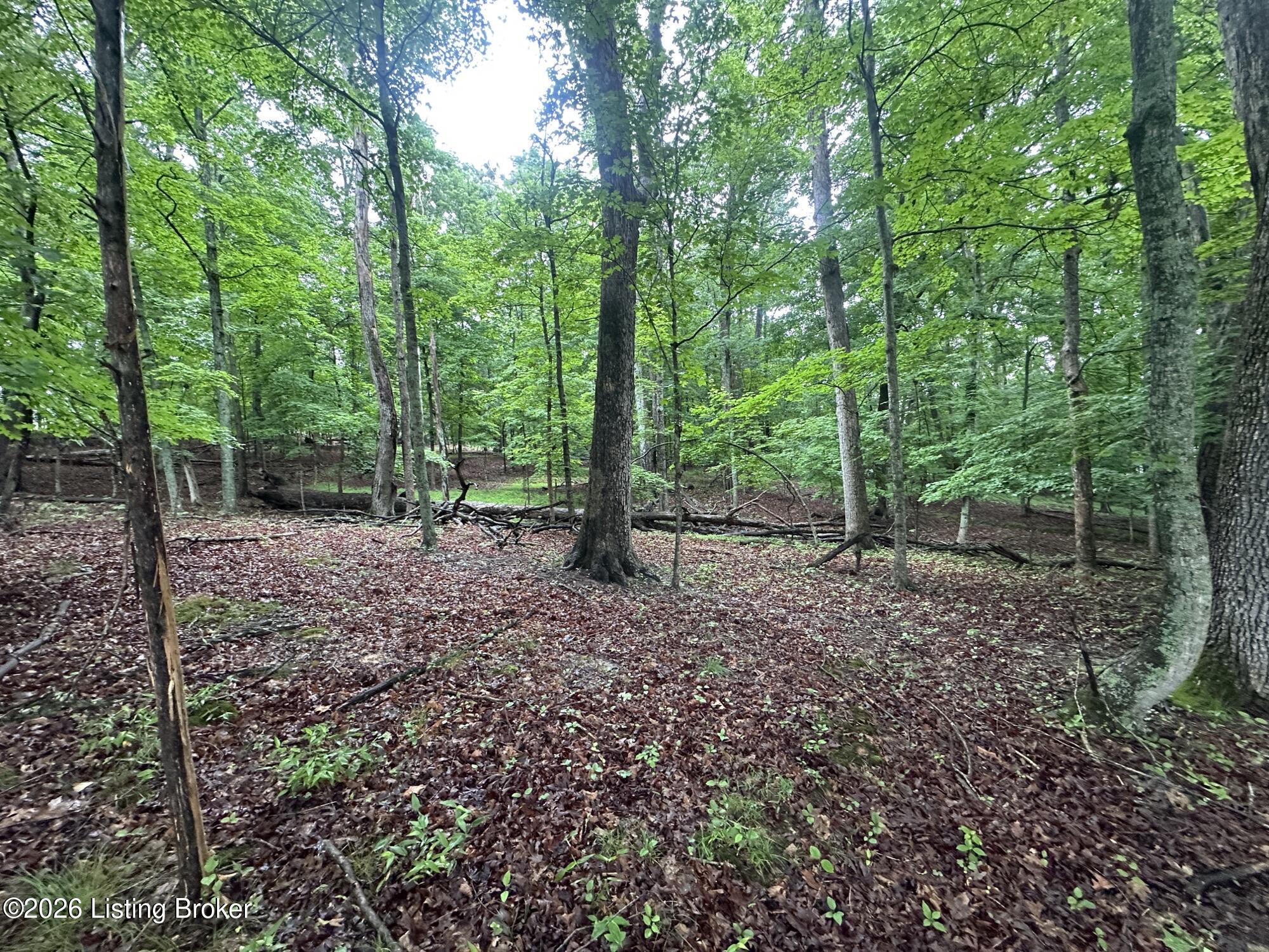 Lot 40 Red Wing Rd Property Photo 1