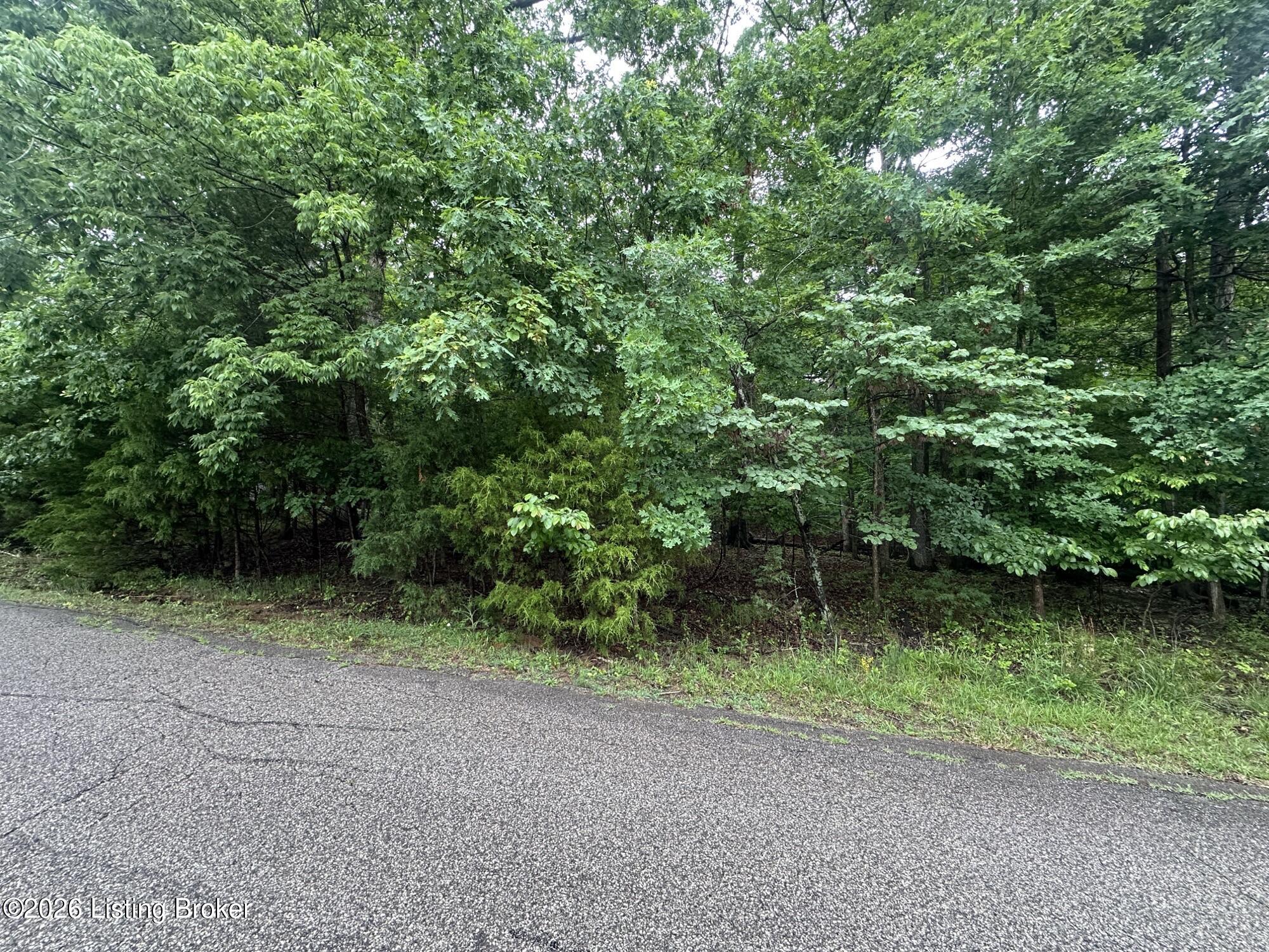 Lot 40 Red Wing Rd Property Photo 2