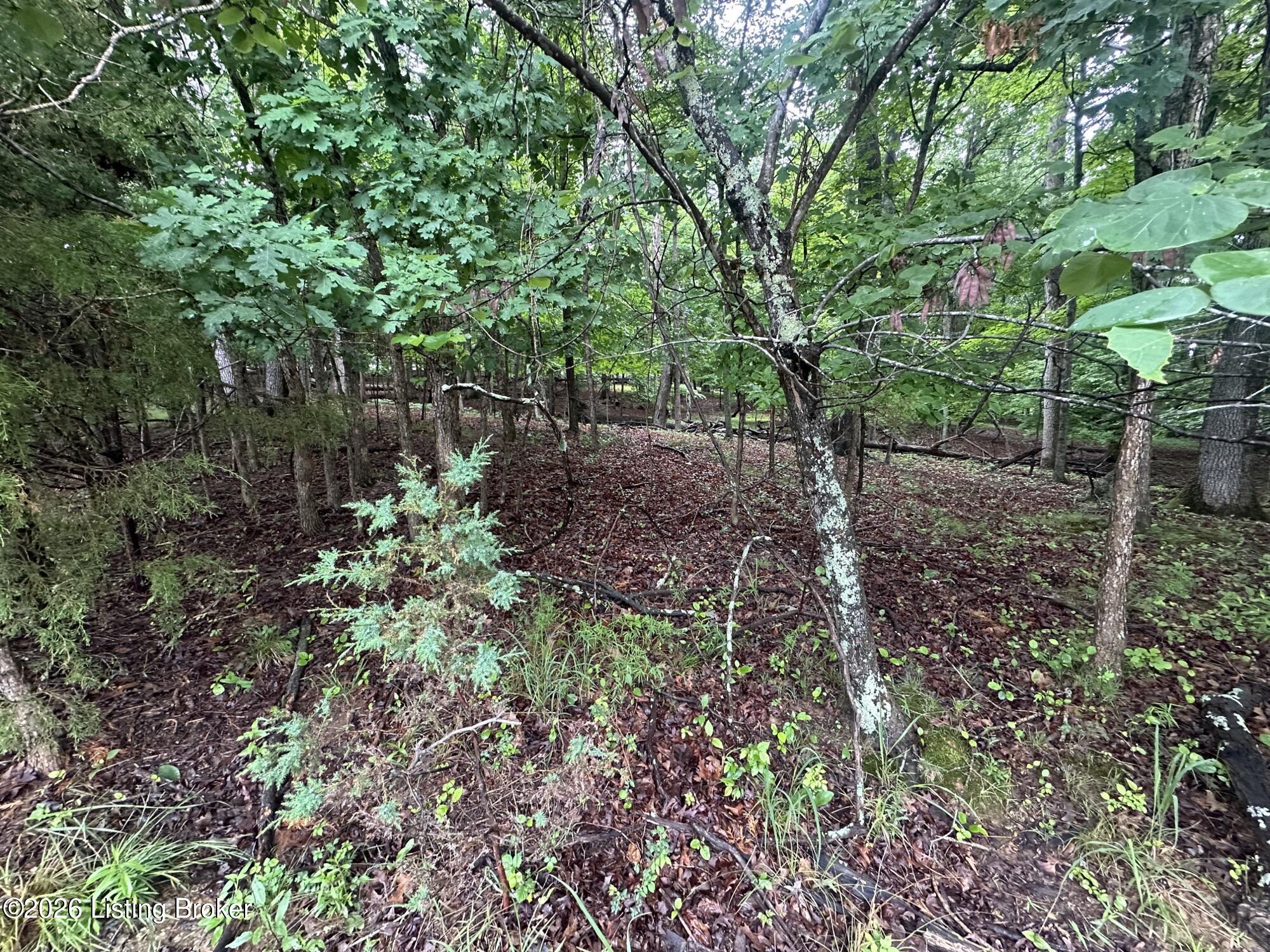 Lot 40 Red Wing Rd Property Photo 3