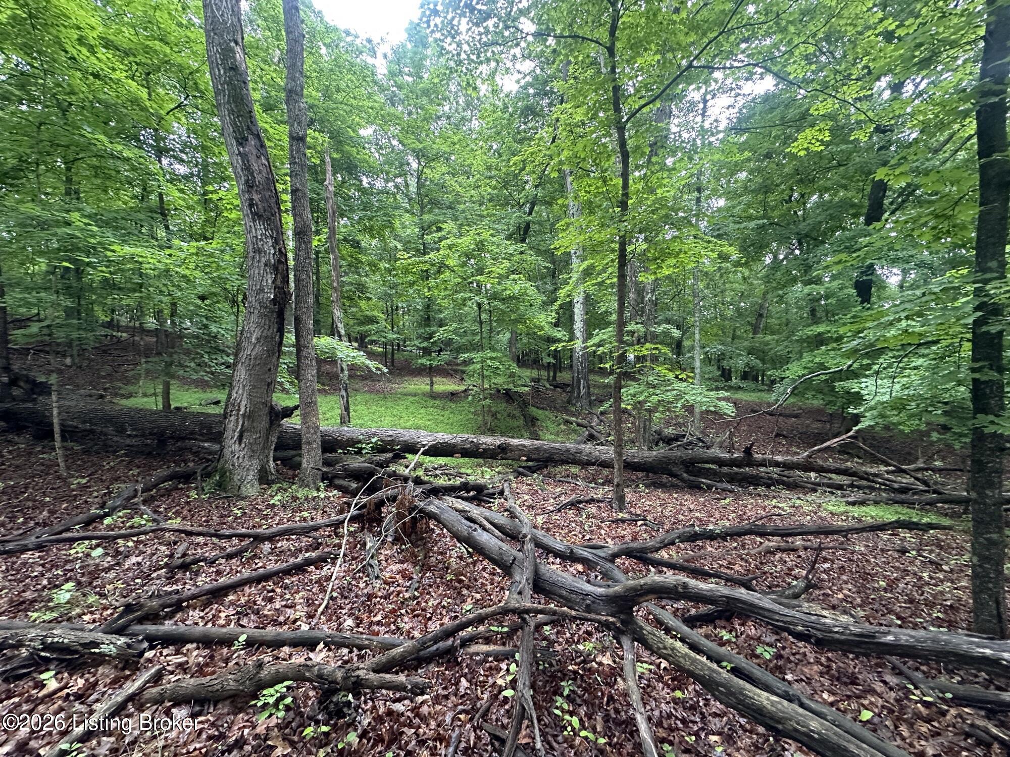 Lot 40 Red Wing Rd Property Photo 4