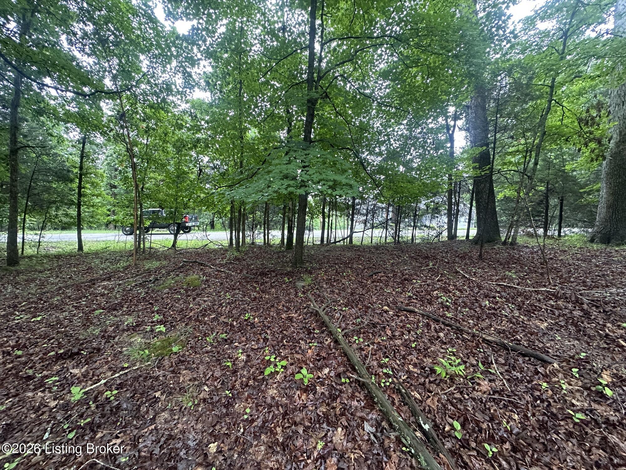 Lot 40 Red Wing Rd Property Photo 5