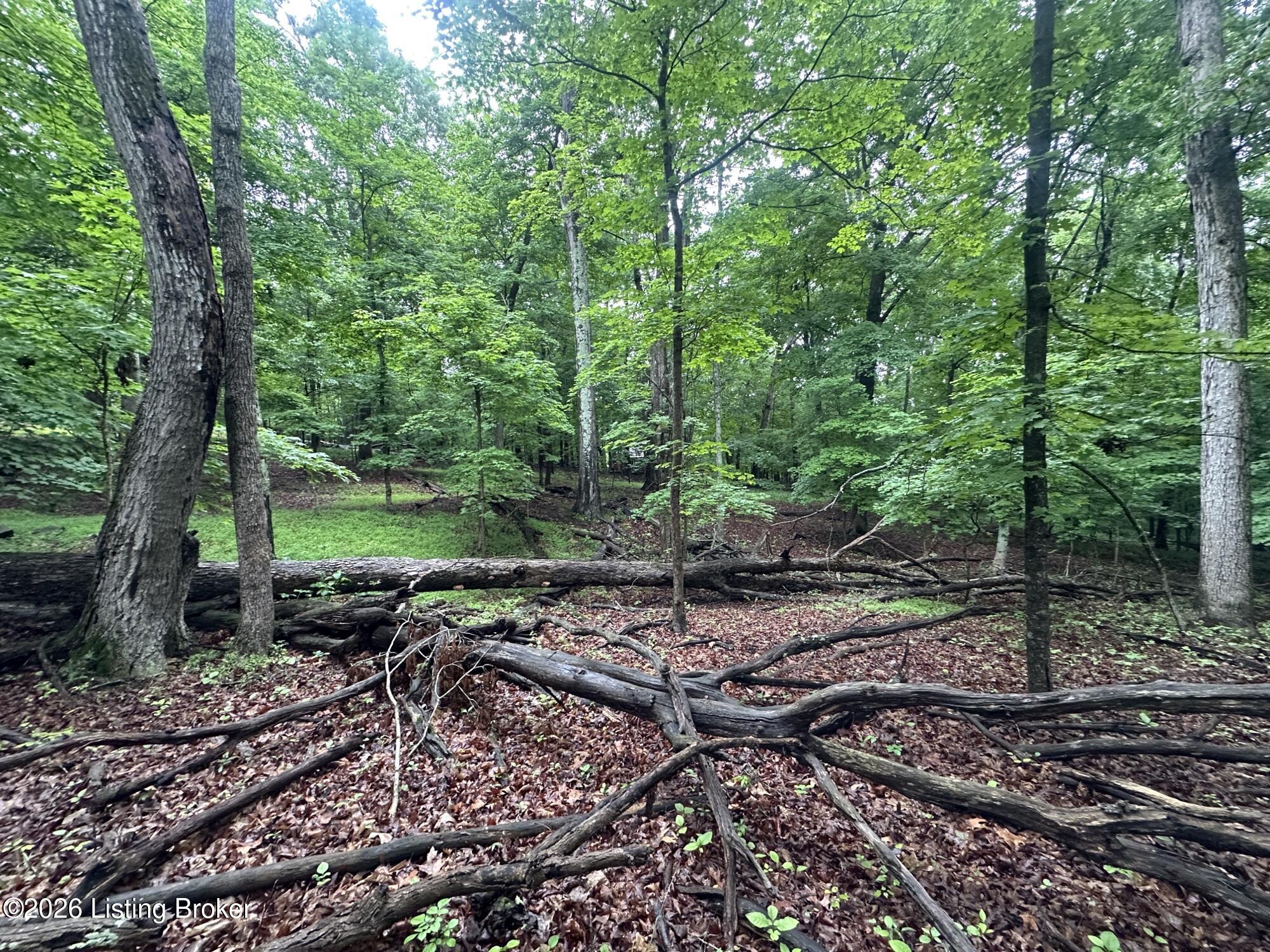 Lot 40 Red Wing Rd Property Photo 6