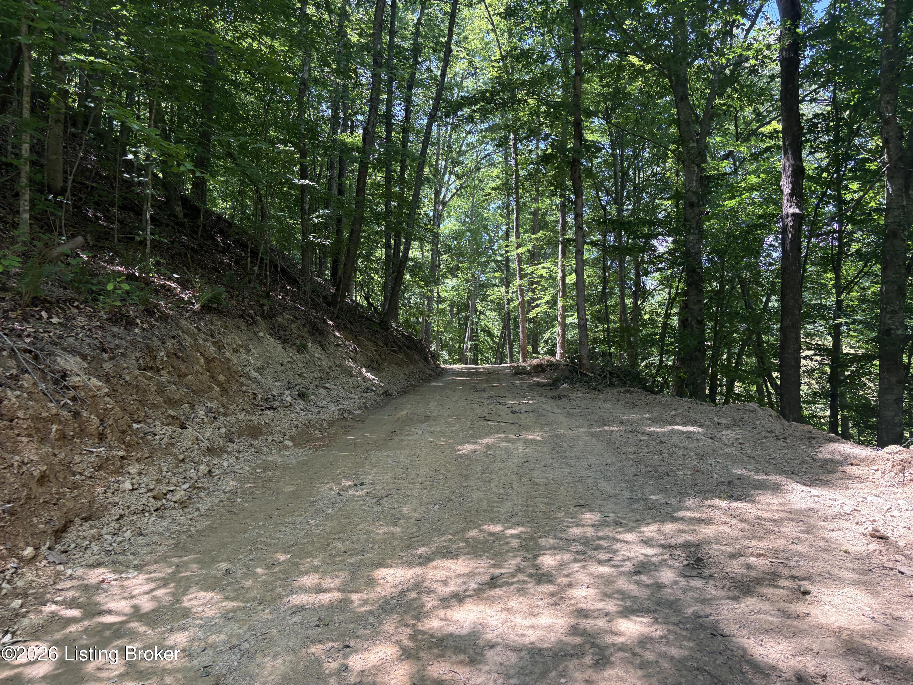 643 Pine Grove Rd Property Photo 11