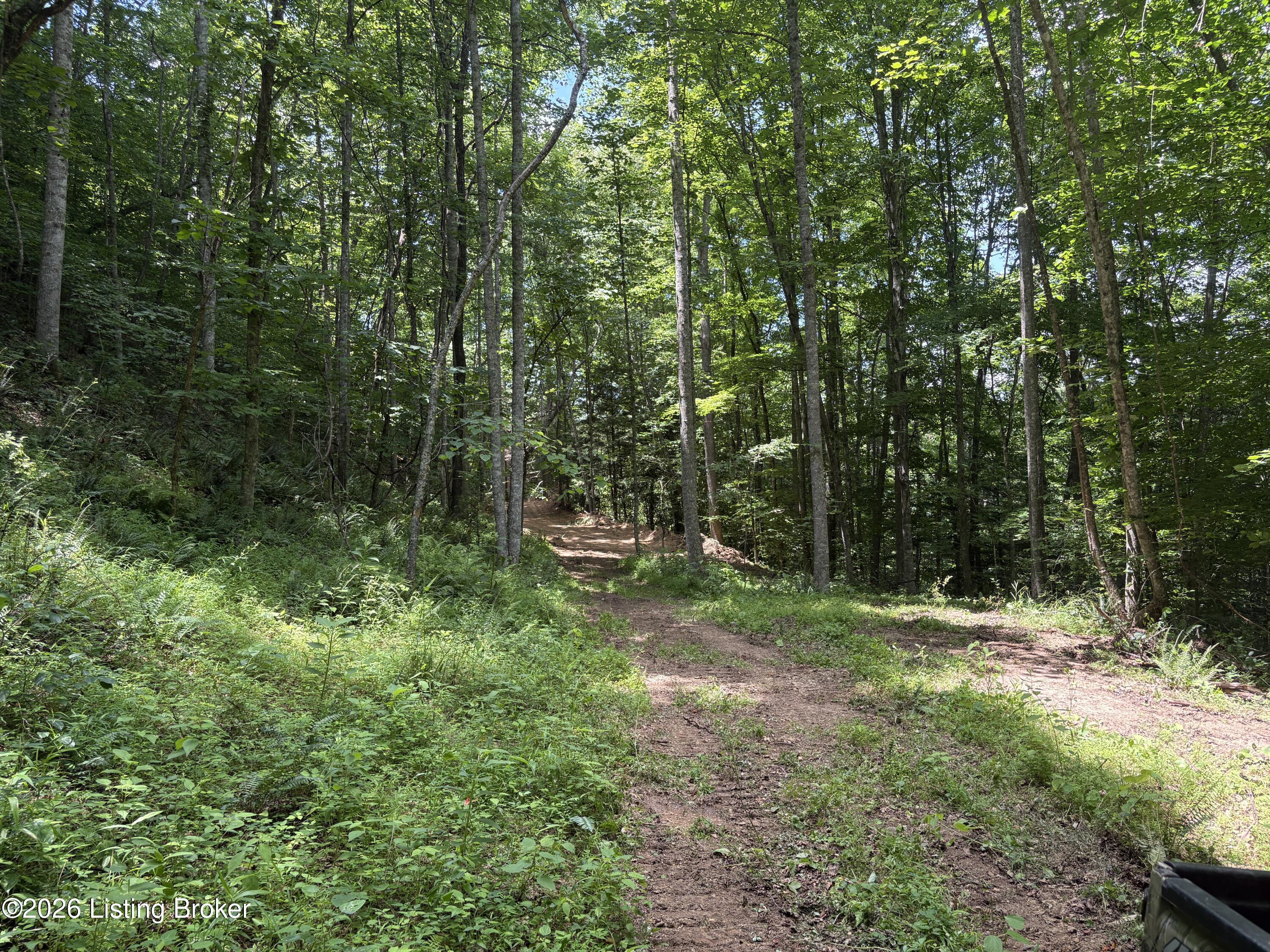 643 Pine Grove Rd Property Photo 13