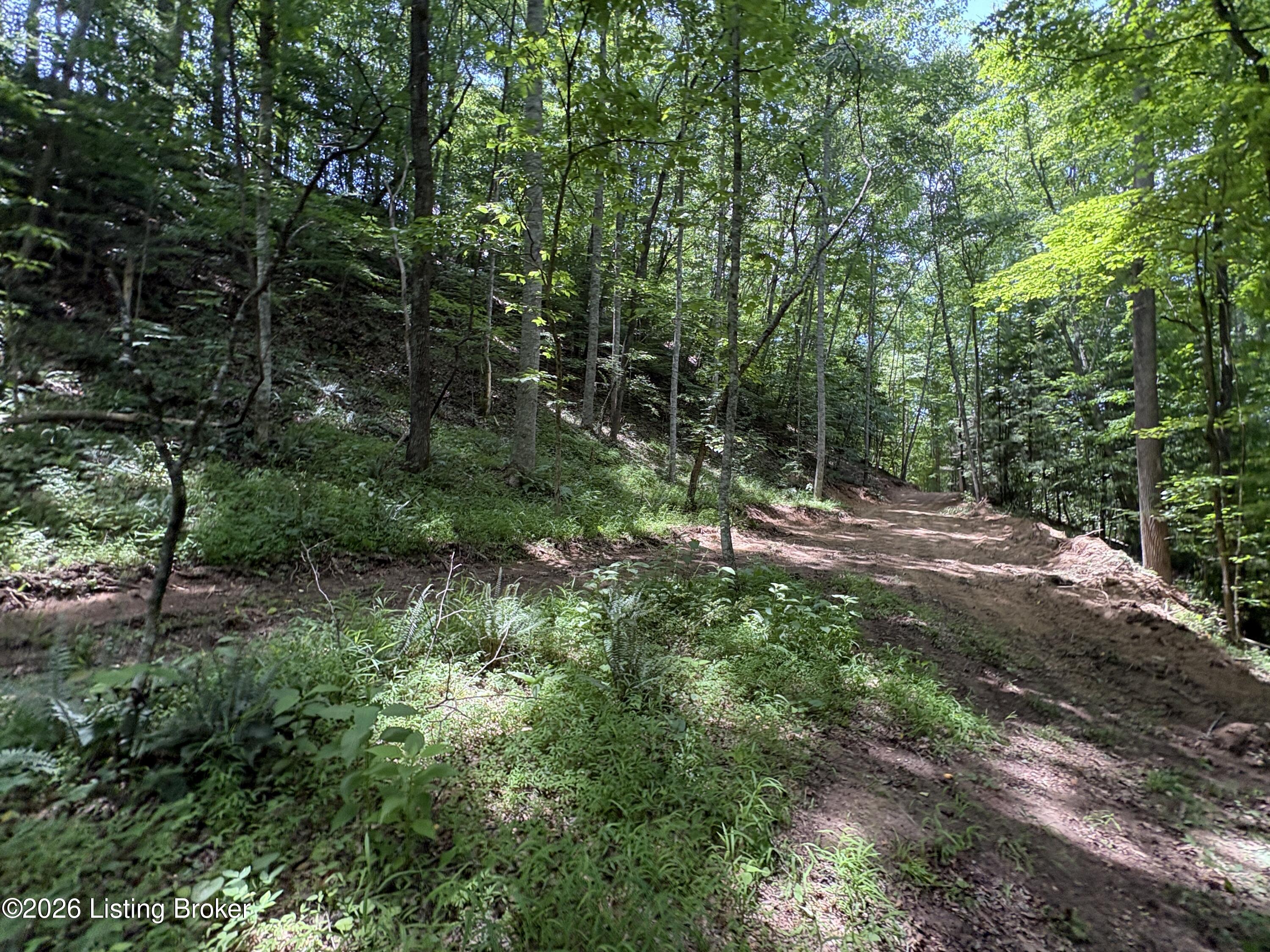 643 Pine Grove Rd Property Photo 14