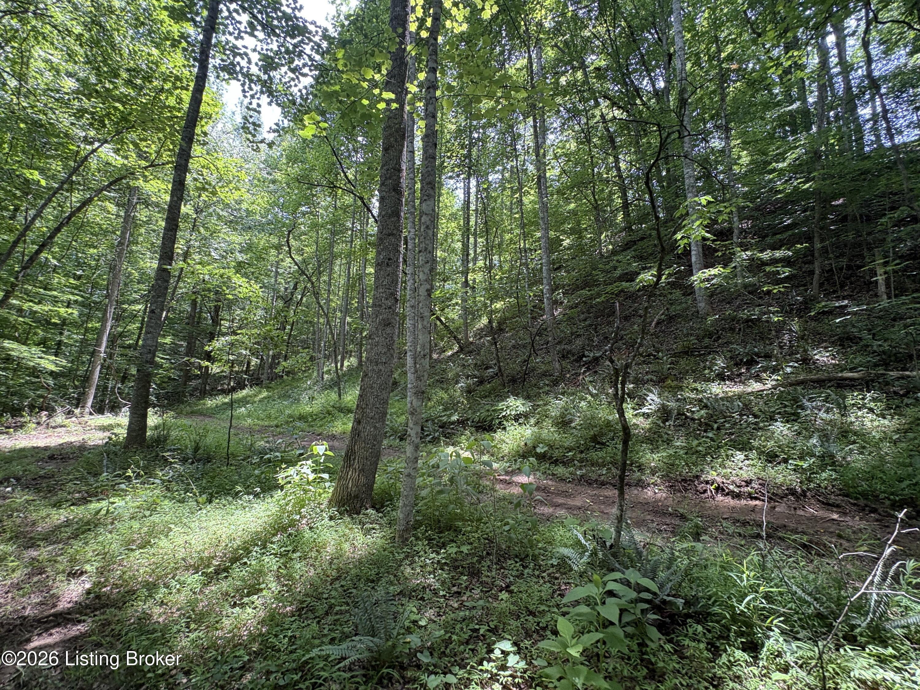 643 Pine Grove Rd Property Photo 15