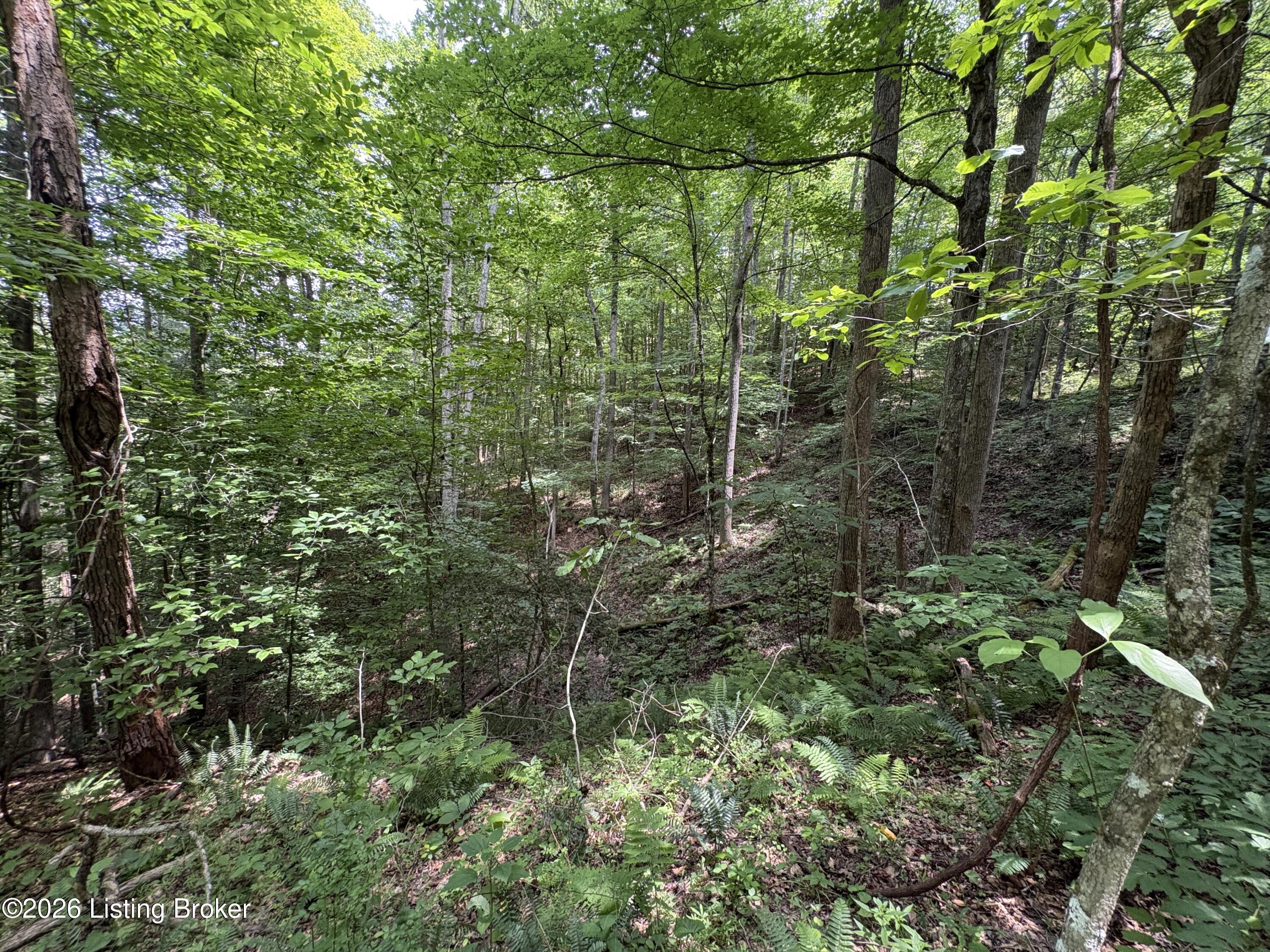 643 Pine Grove Rd Property Photo 17