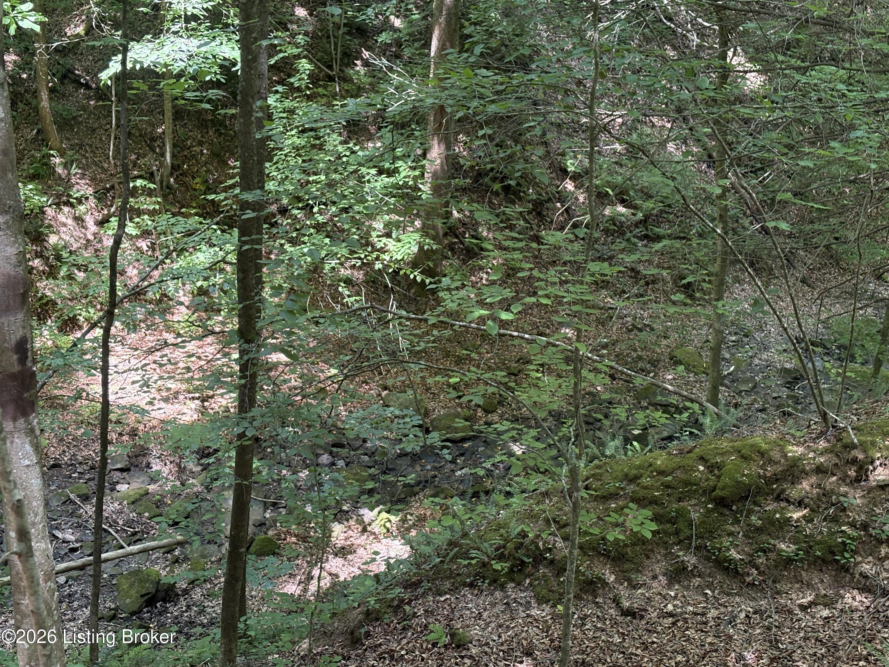 643 Pine Grove Rd Property Photo 18