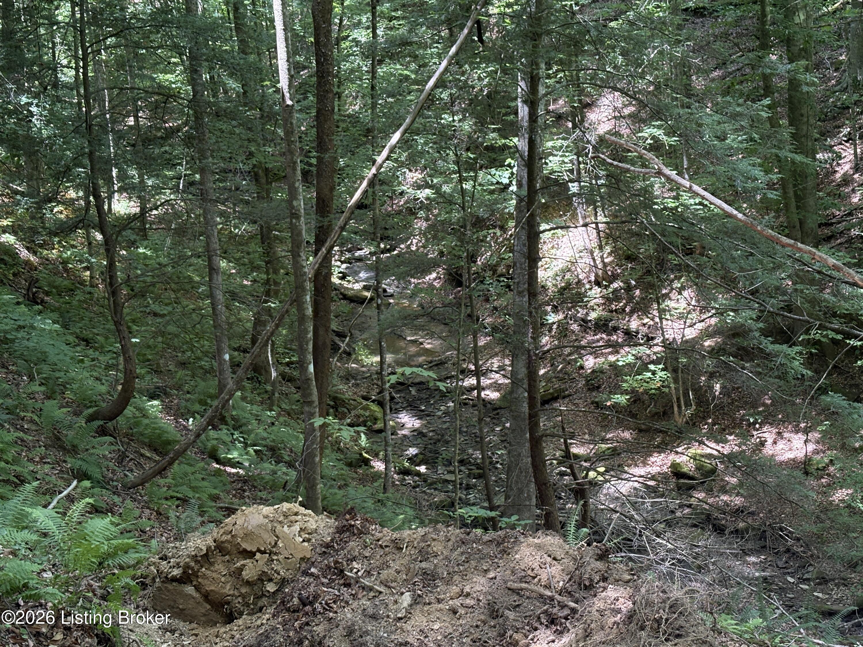 643 Pine Grove Rd Property Photo 19