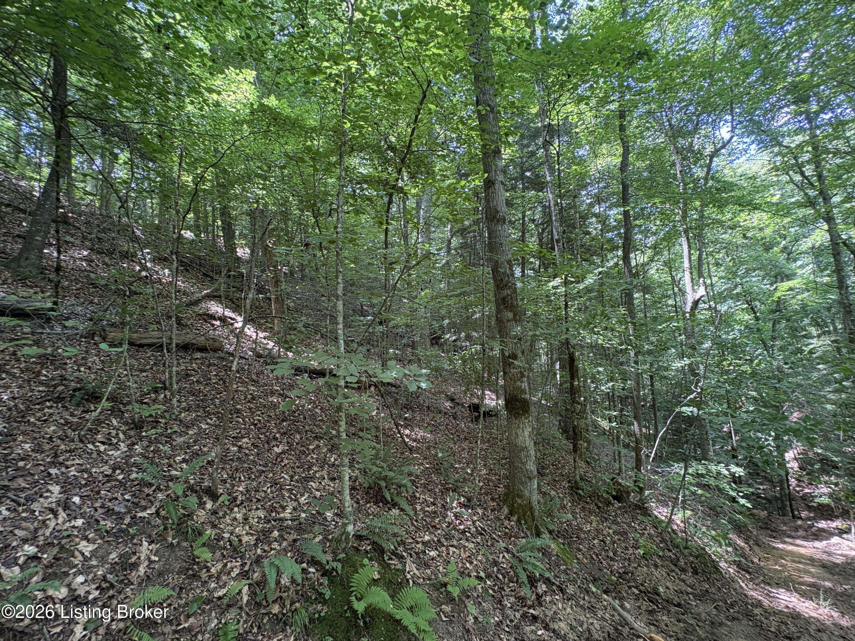 643 Pine Grove Rd Property Photo 20