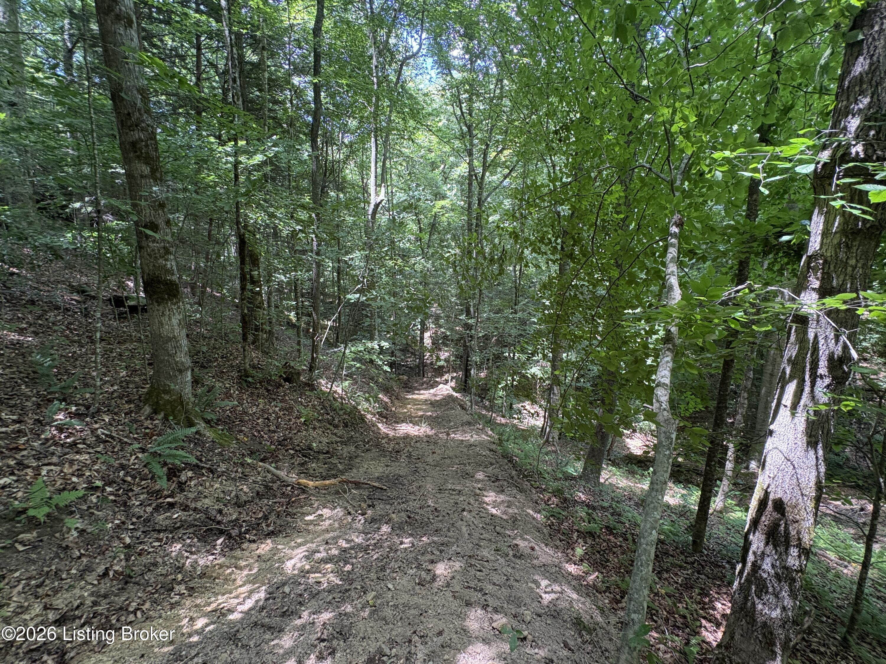 643 Pine Grove Rd Property Photo 21