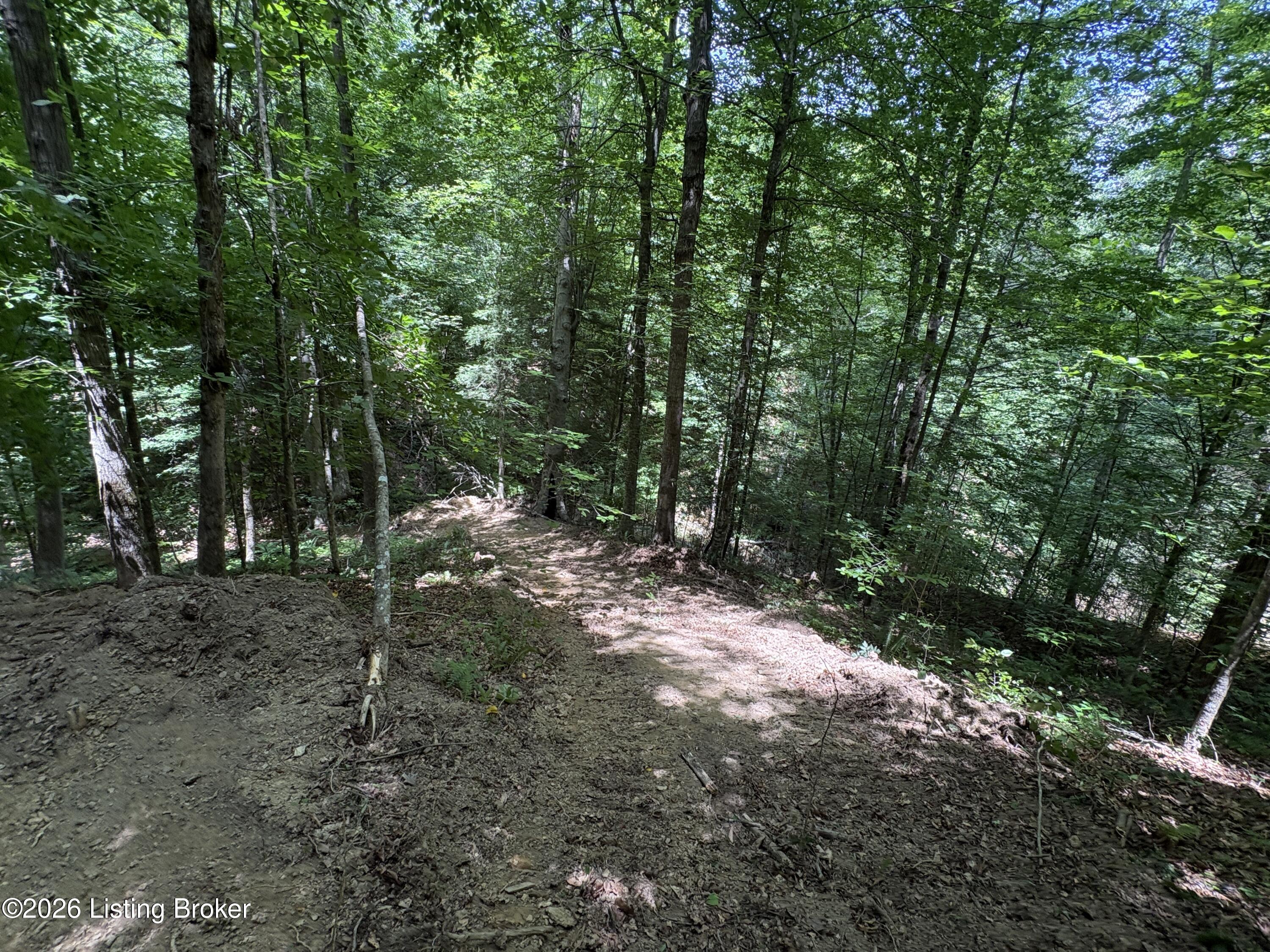 643 Pine Grove Rd Property Photo 22