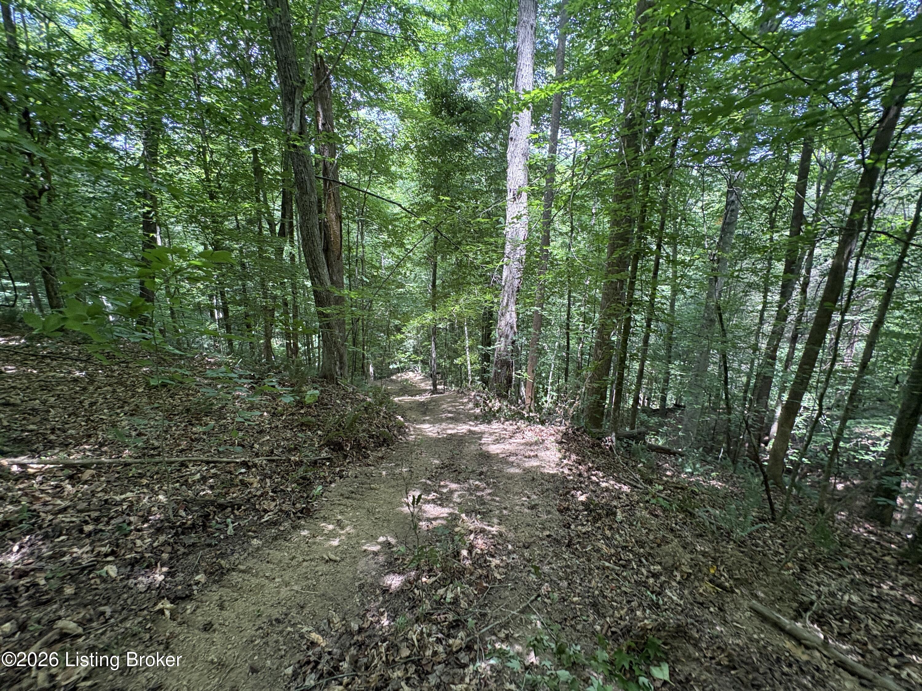 643 Pine Grove Rd Property Photo 23