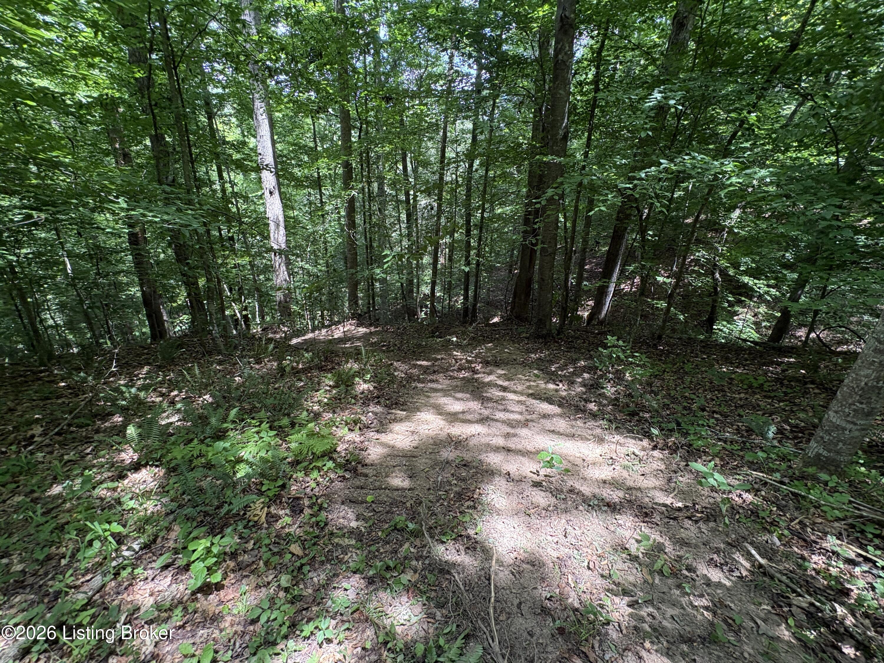 643 Pine Grove Rd Property Photo 24