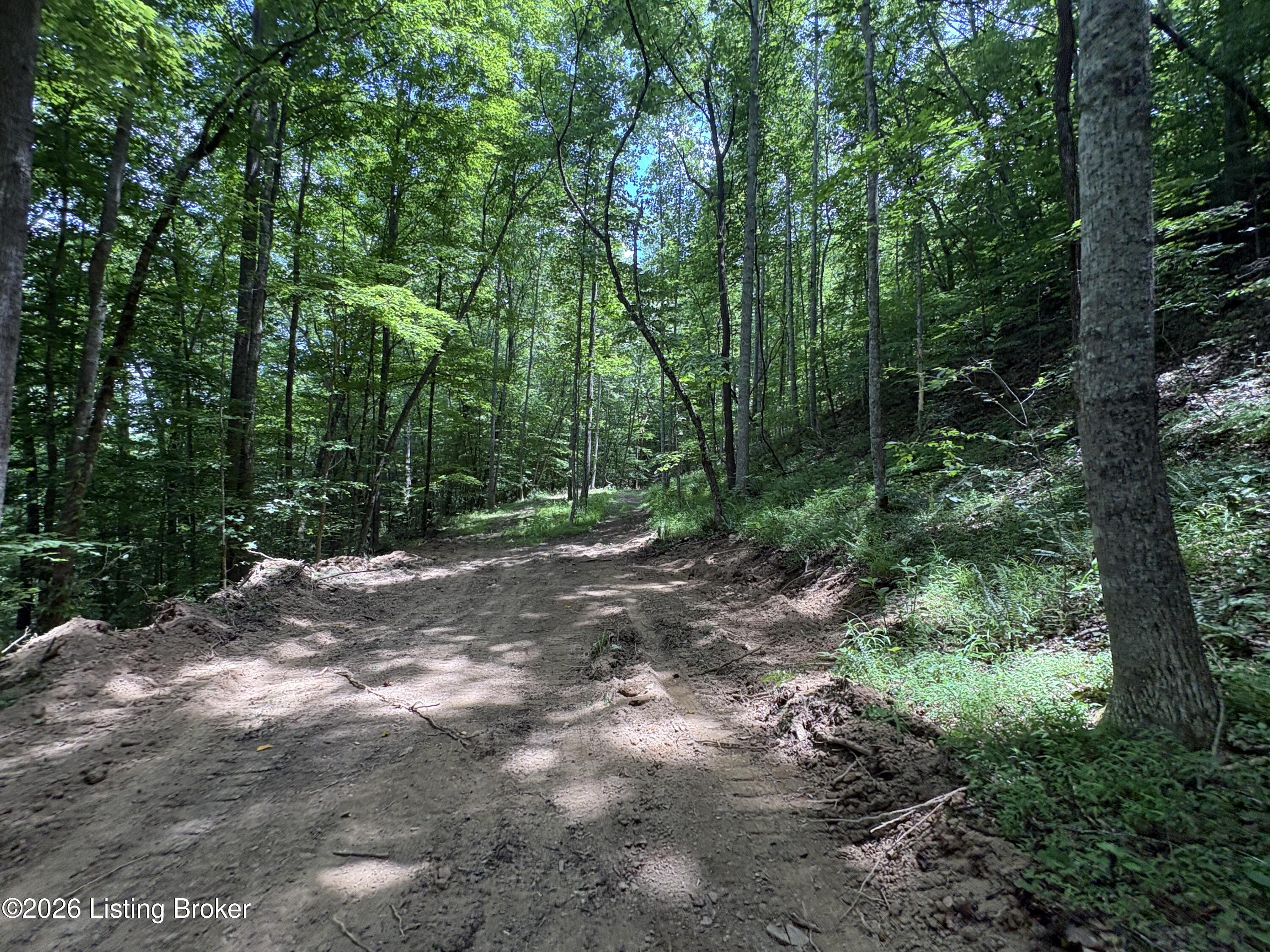 643 Pine Grove Rd Property Photo 25