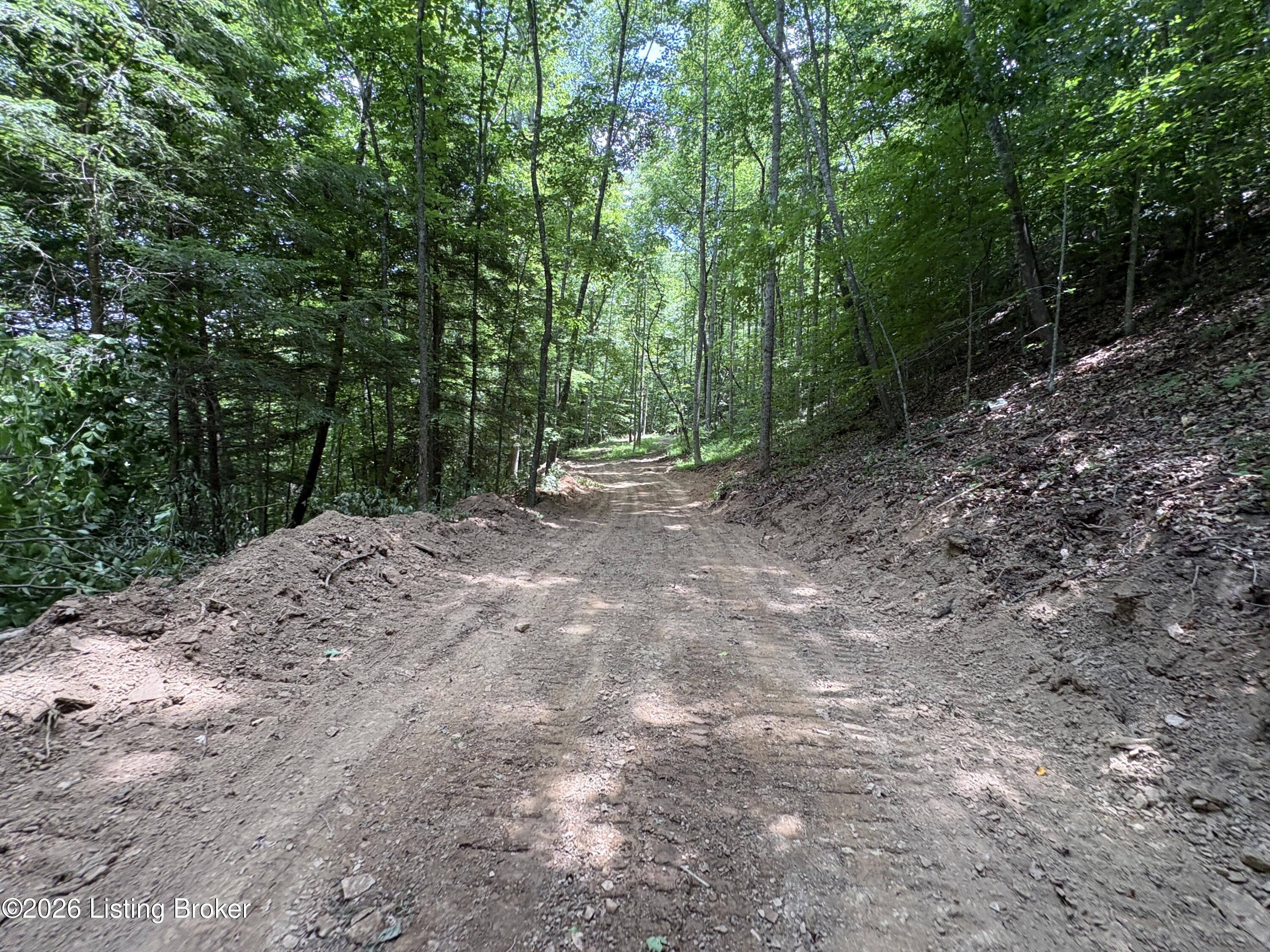643 Pine Grove Rd Property Photo 26