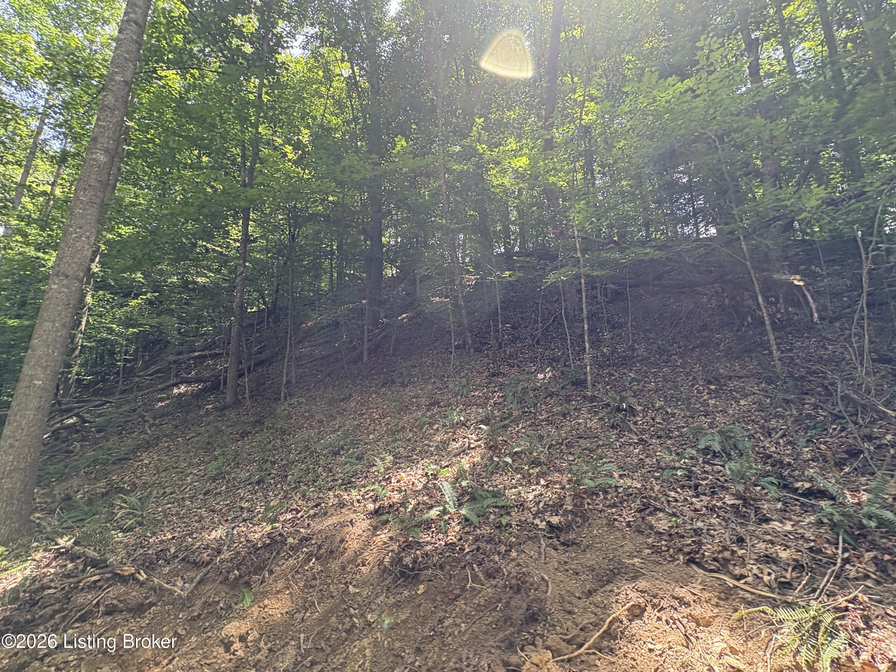 643 Pine Grove Rd Property Photo 28