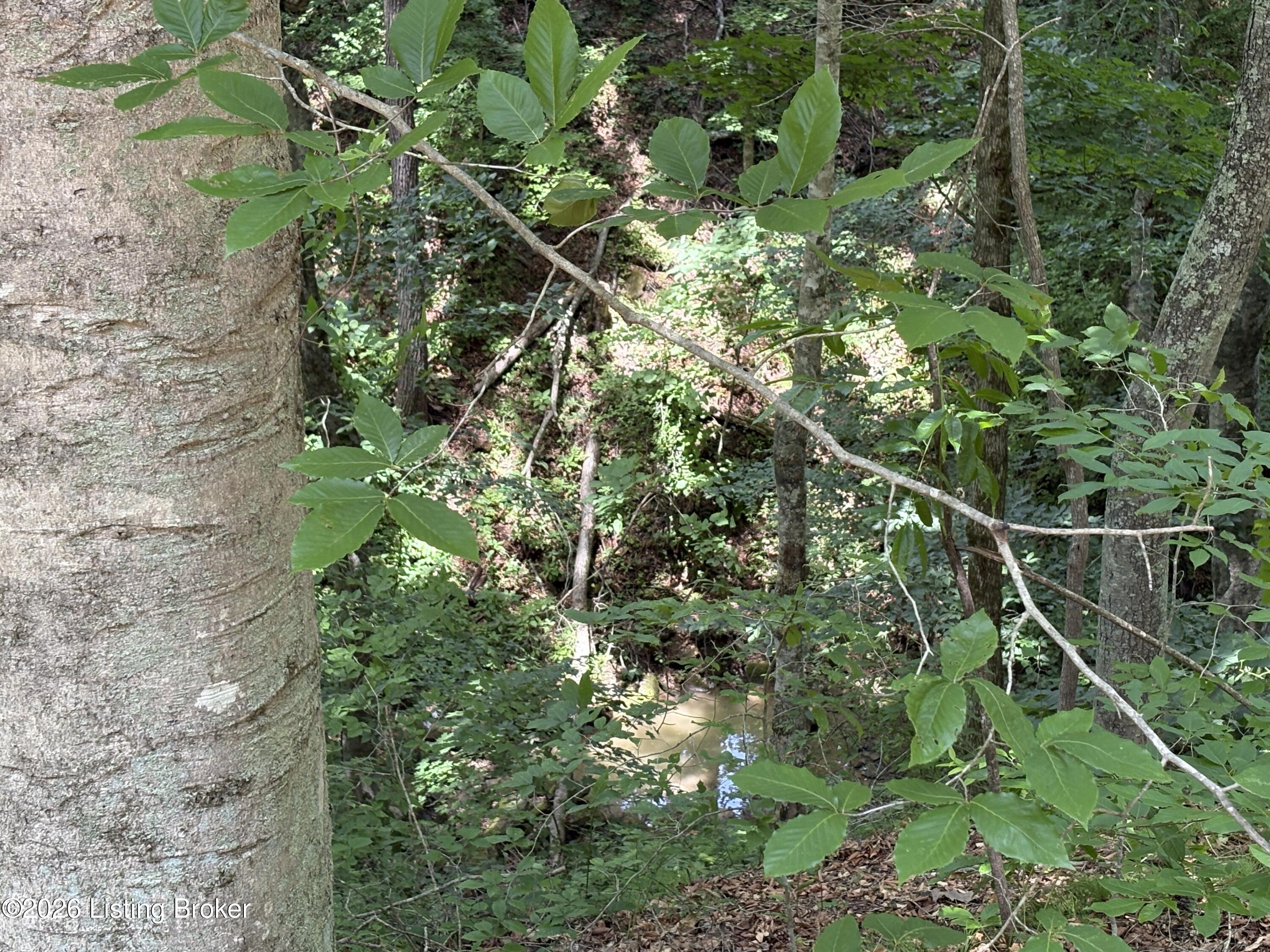 643 Pine Grove Rd Property Photo 31