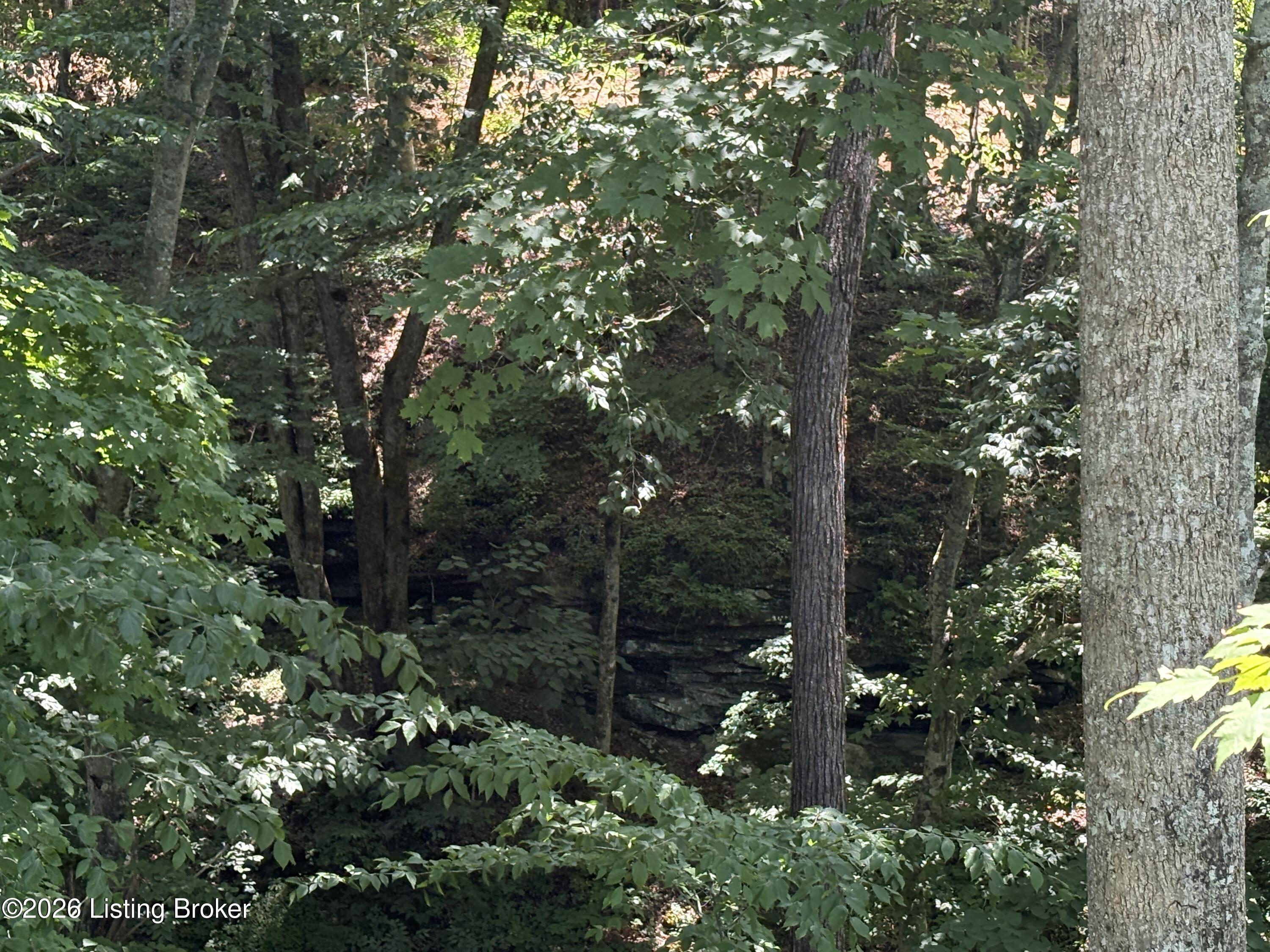 643 Pine Grove Rd Property Photo 32