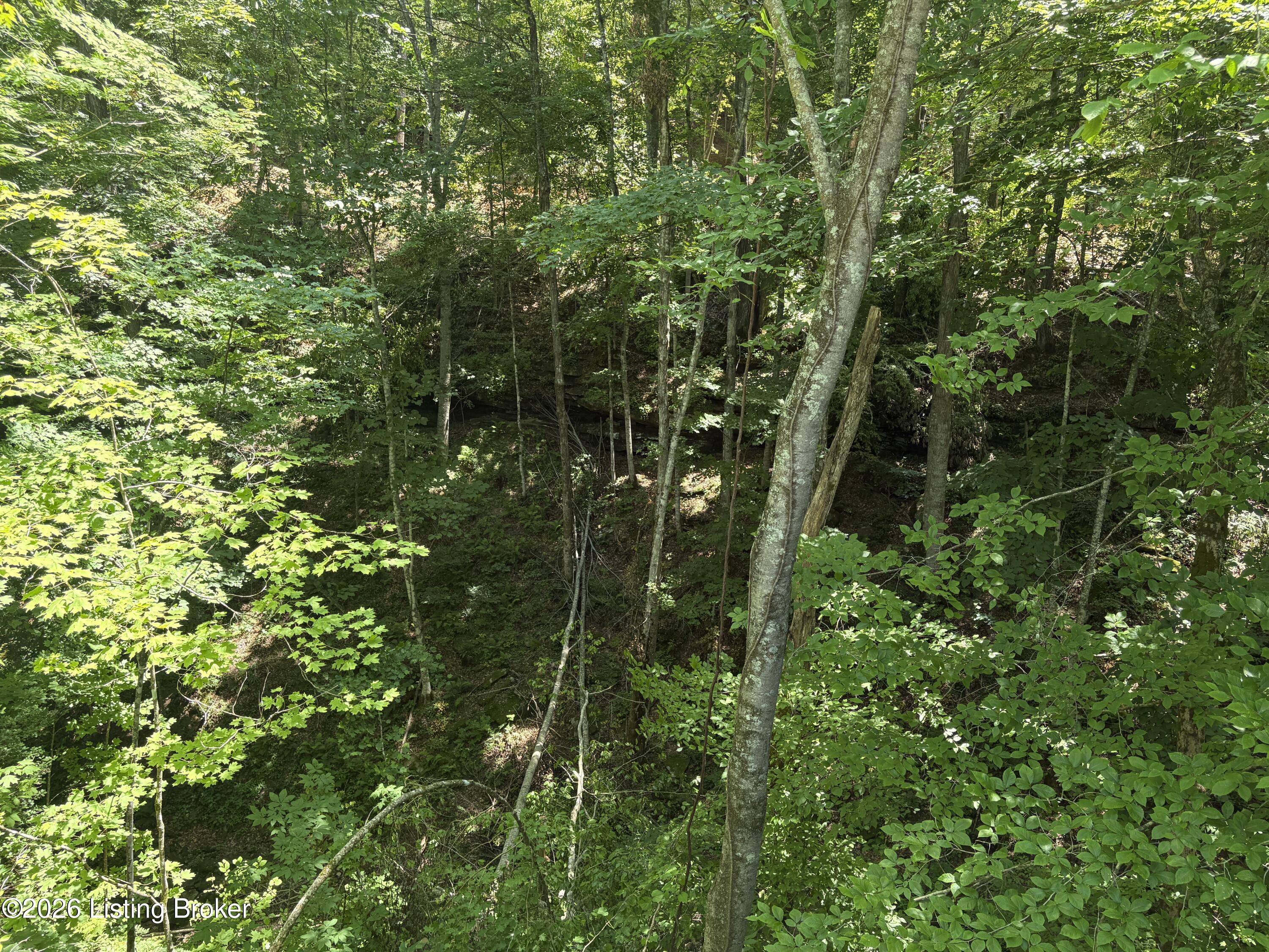 643 Pine Grove Rd Property Photo 33