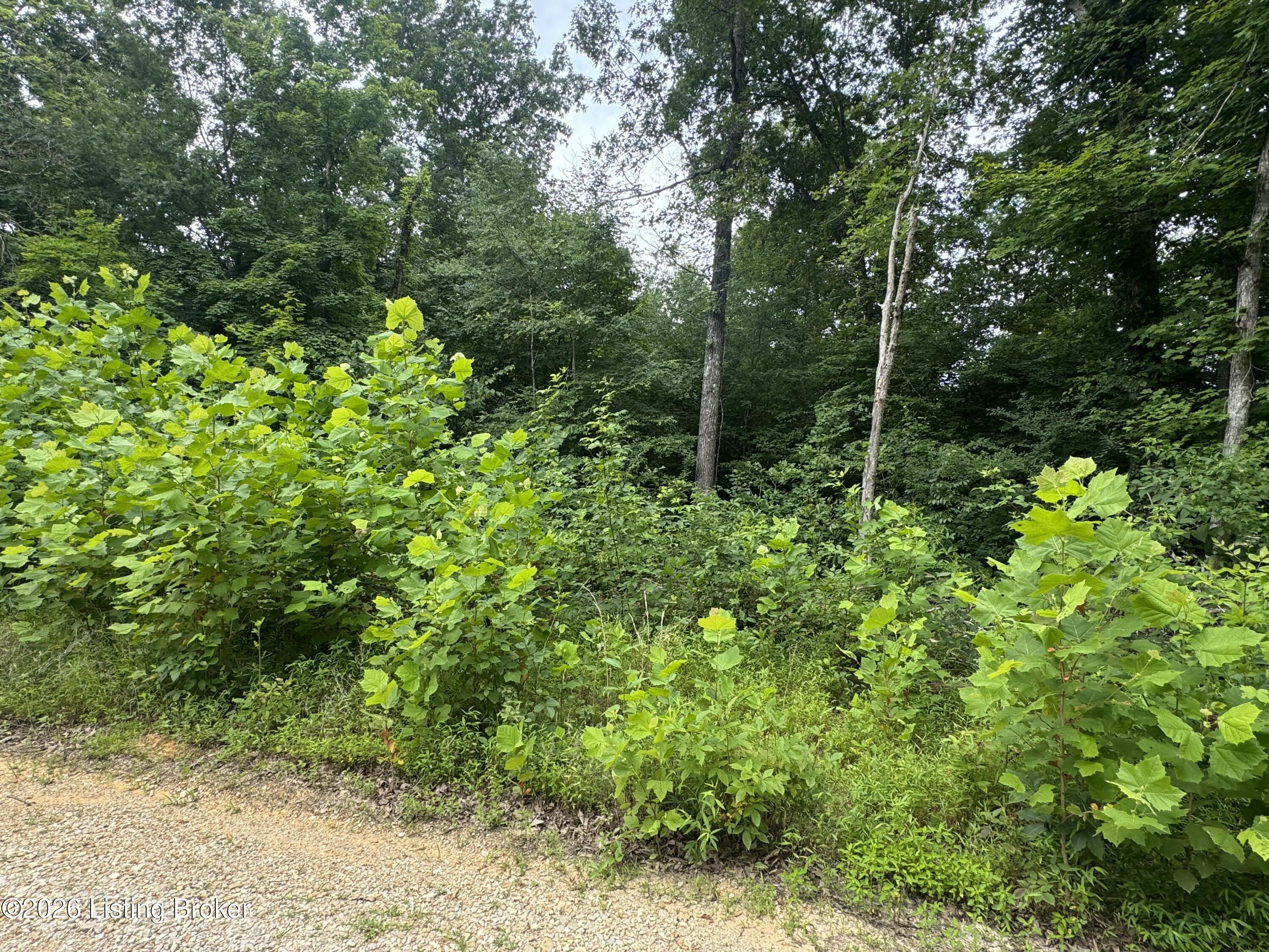 0 Ted Logsdon Rd Property Photo 1