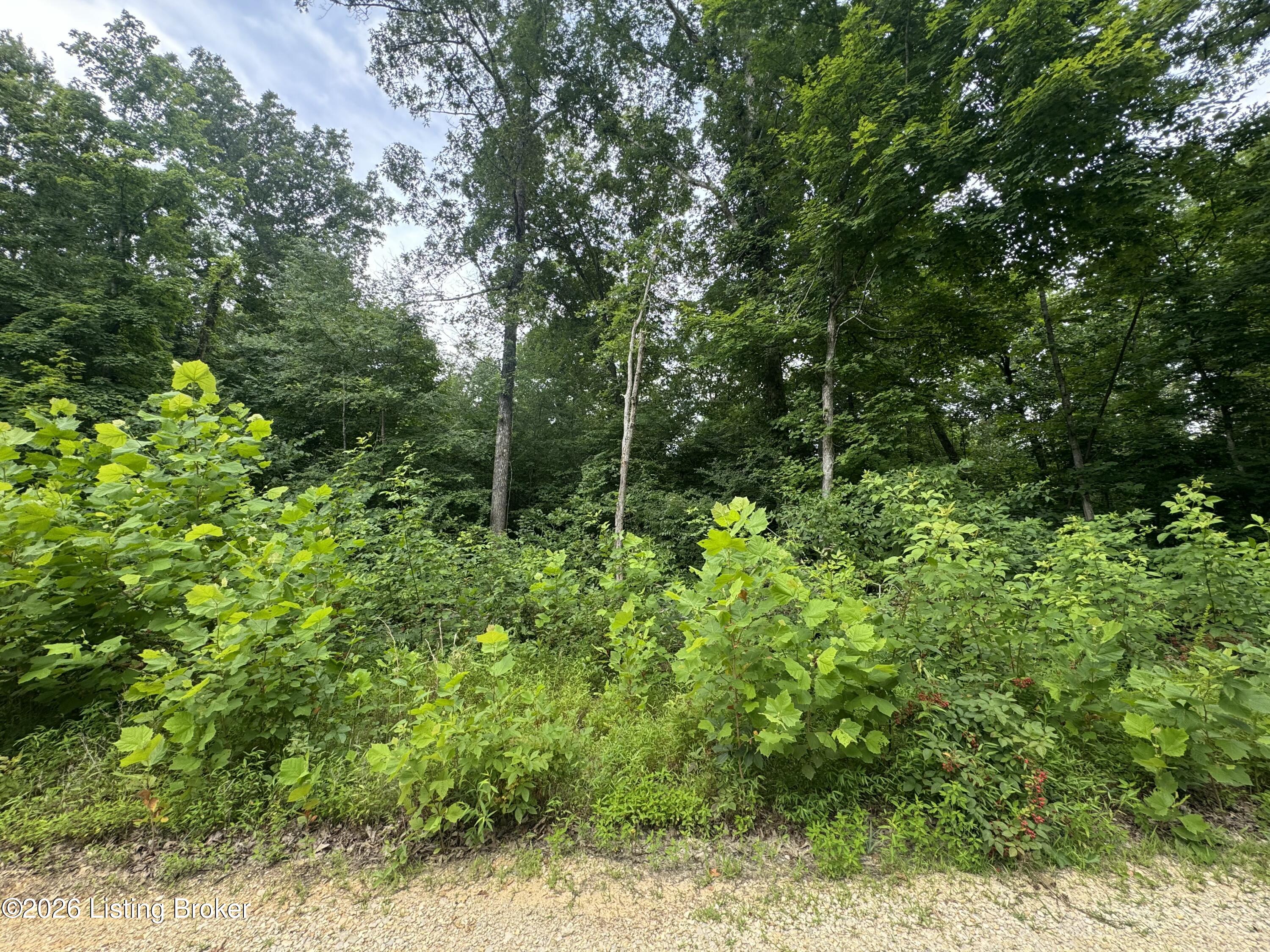 0 Ted Logsdon Rd Property Photo 2
